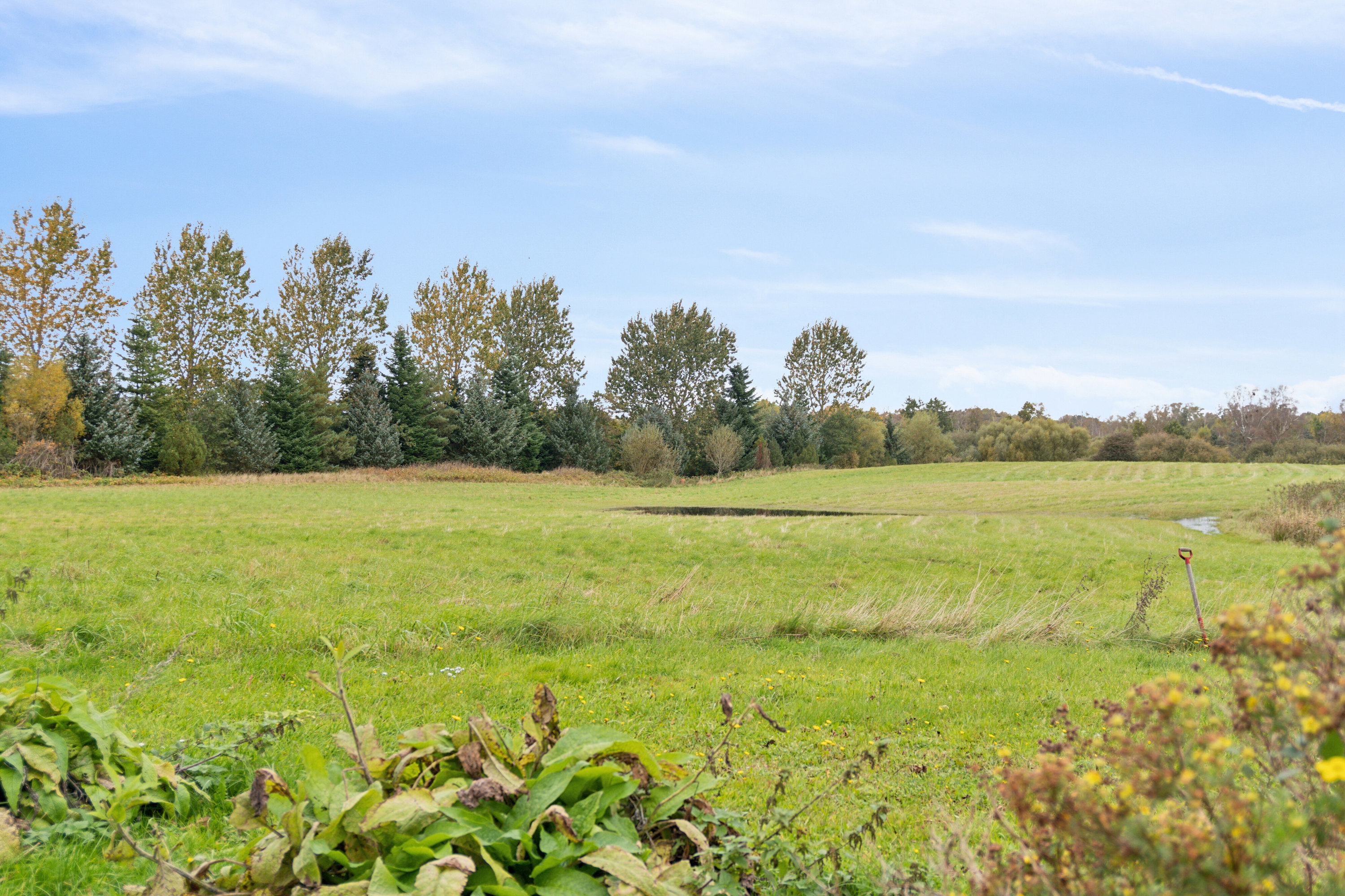 Fremhævet have billede i fuldskærmstilstand. Billede af Løgeskov 64A, 5771 Stenstrup