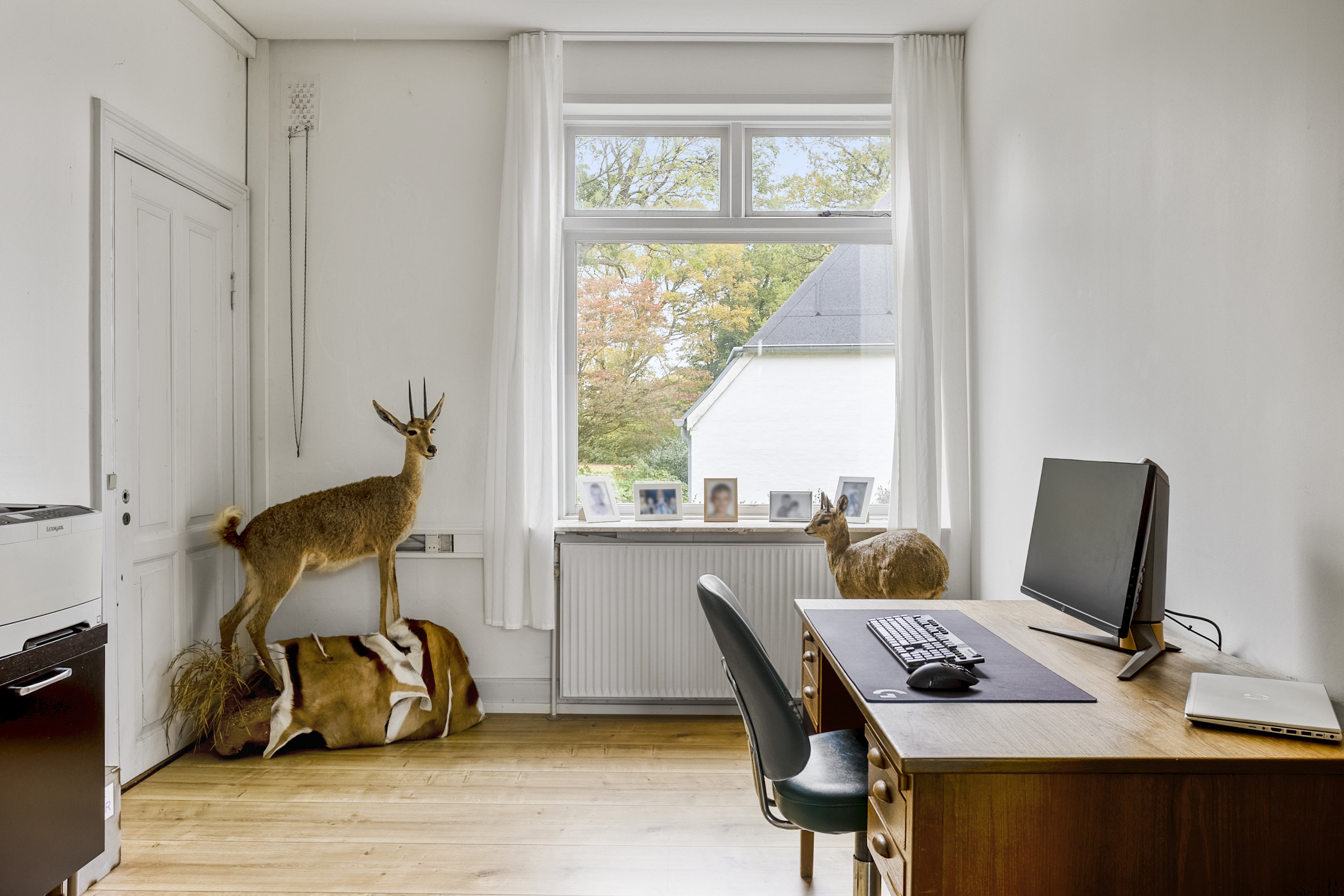 Fremhævet værelse billede i fuldskærmstilstand. Billede af Vejenvej 53B, Askov, 6600 Vejen