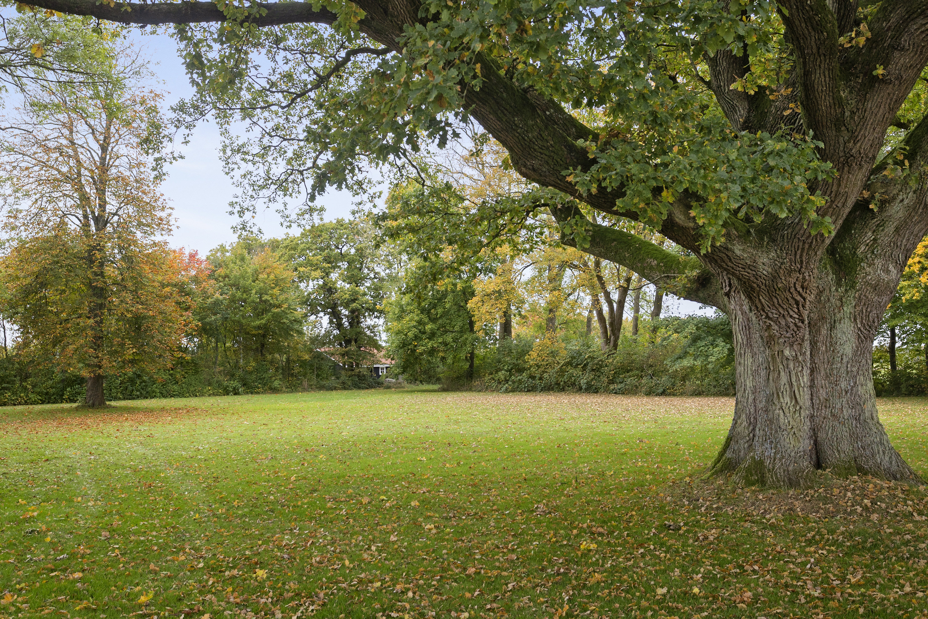 Fremhævet område billede i fuldskærmstilstand. Billede af Vejenvej 53B, Askov, 6600 Vejen