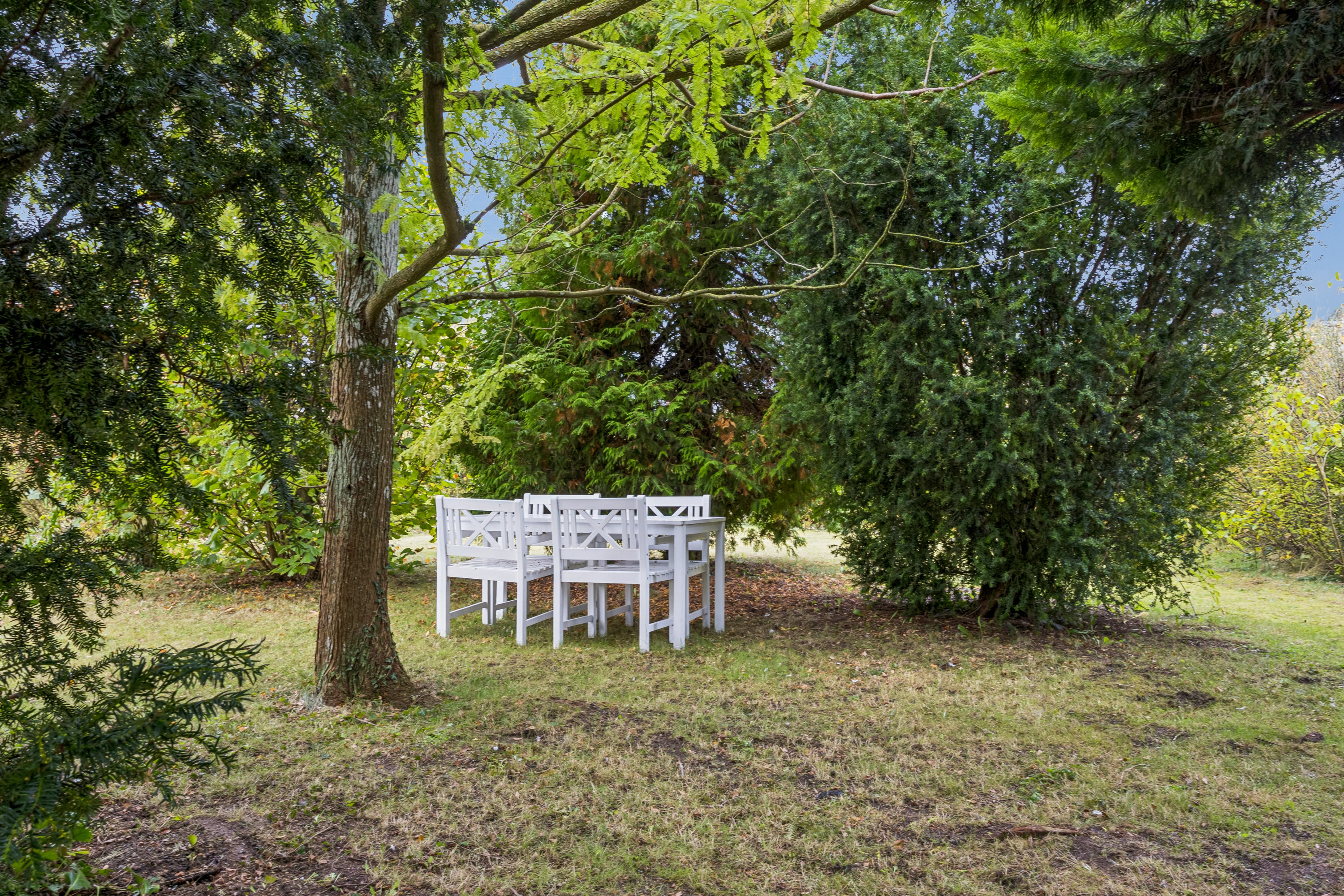 Fremhævet have billede i fuldskærmstilstand. Billede af Sørupvej 1, Vetterslev, 4100 Ringsted