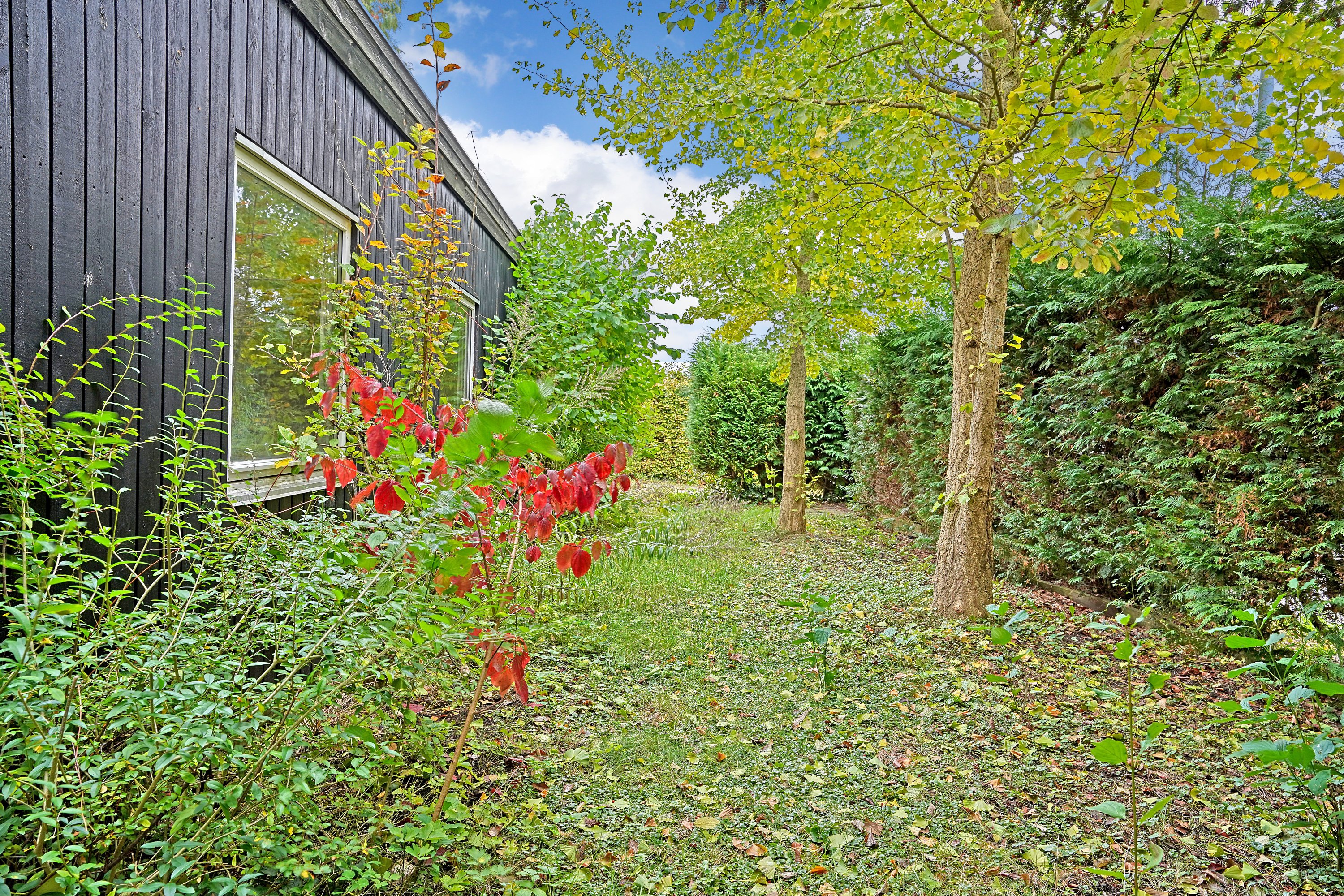 Fremhævet have billede i fuldskærmstilstand. Billede af Kastanievej 13, 3480 Fredensborg