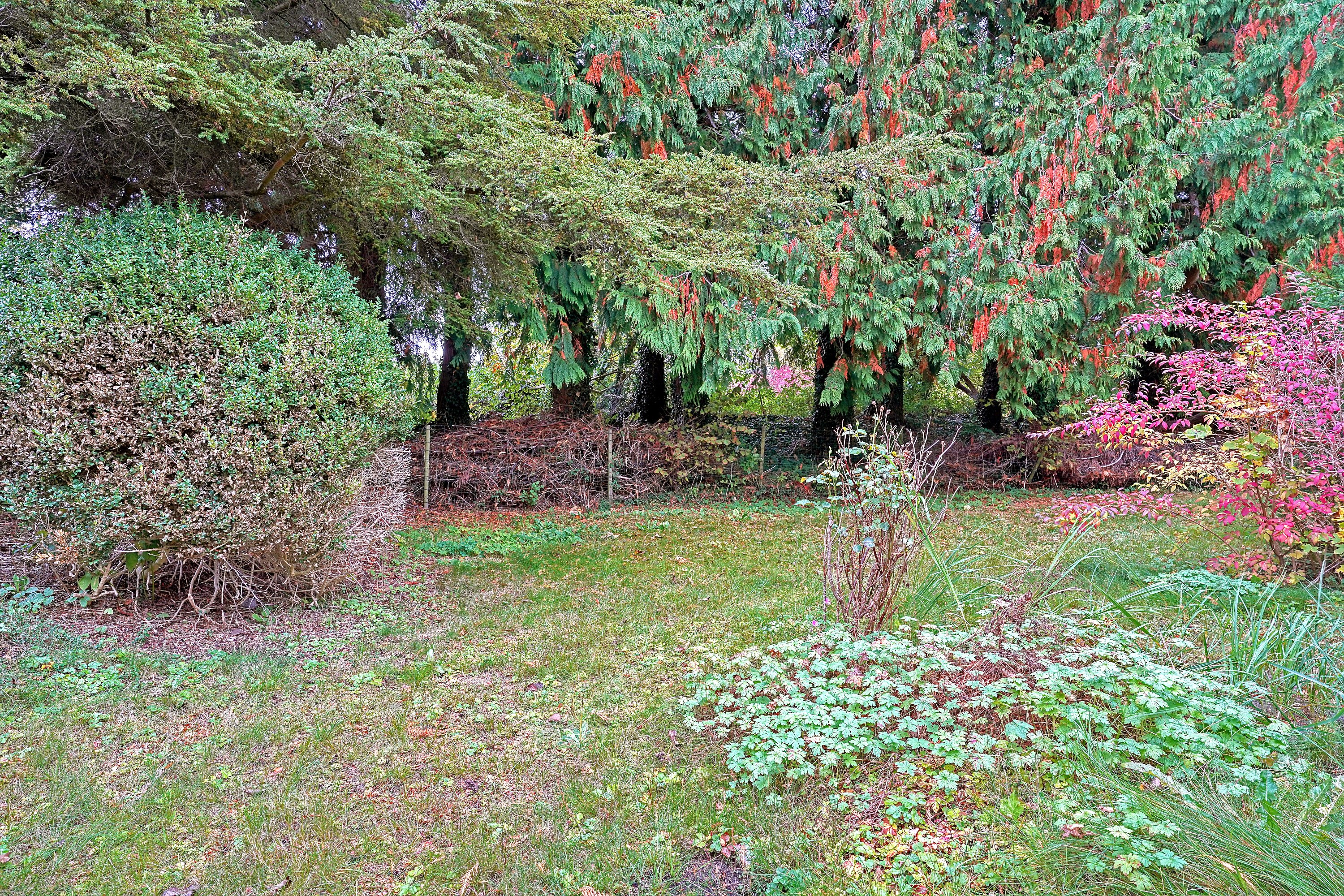 Fremhævet have billede i fuldskærmstilstand. Billede af Kastanievej 13, 3480 Fredensborg