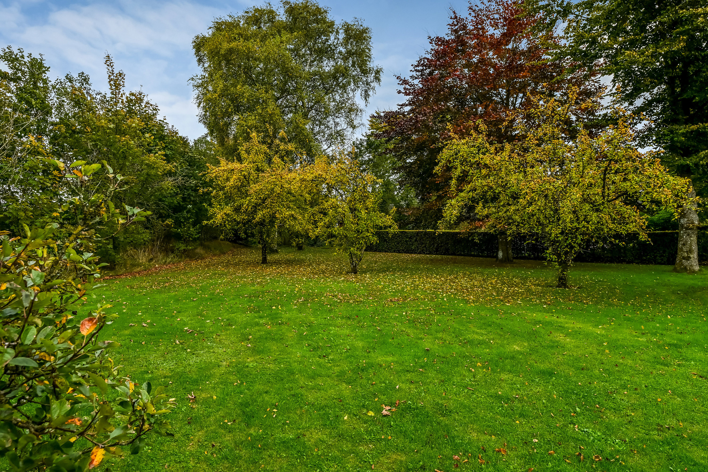 Fremhævet have billede i fuldskærmstilstand. Billede af Vejlevej 25, 7260 Sønder Omme