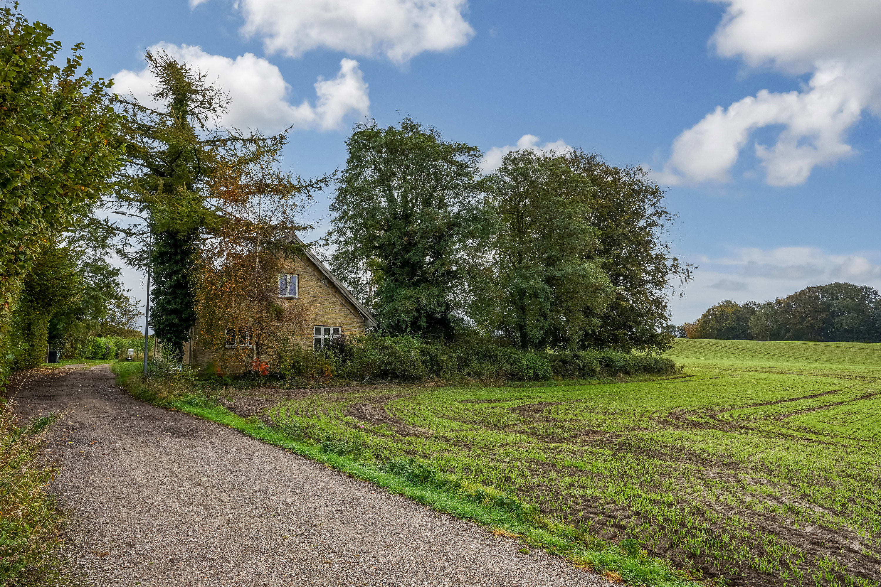 Fremhævet have billede i fuldskærmstilstand. Billede af Hjelmerupvej 40, Hjelmerup, 5690 Tommerup