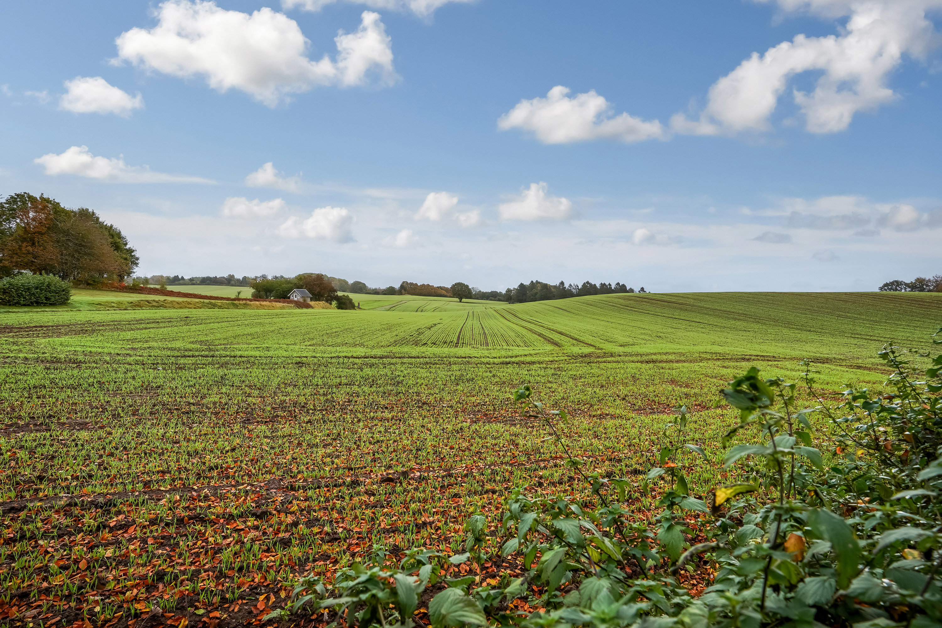 Miniaturebillede 2: område. Billede af Hjelmerupvej 40, Hjelmerup, 5690 Tommerup