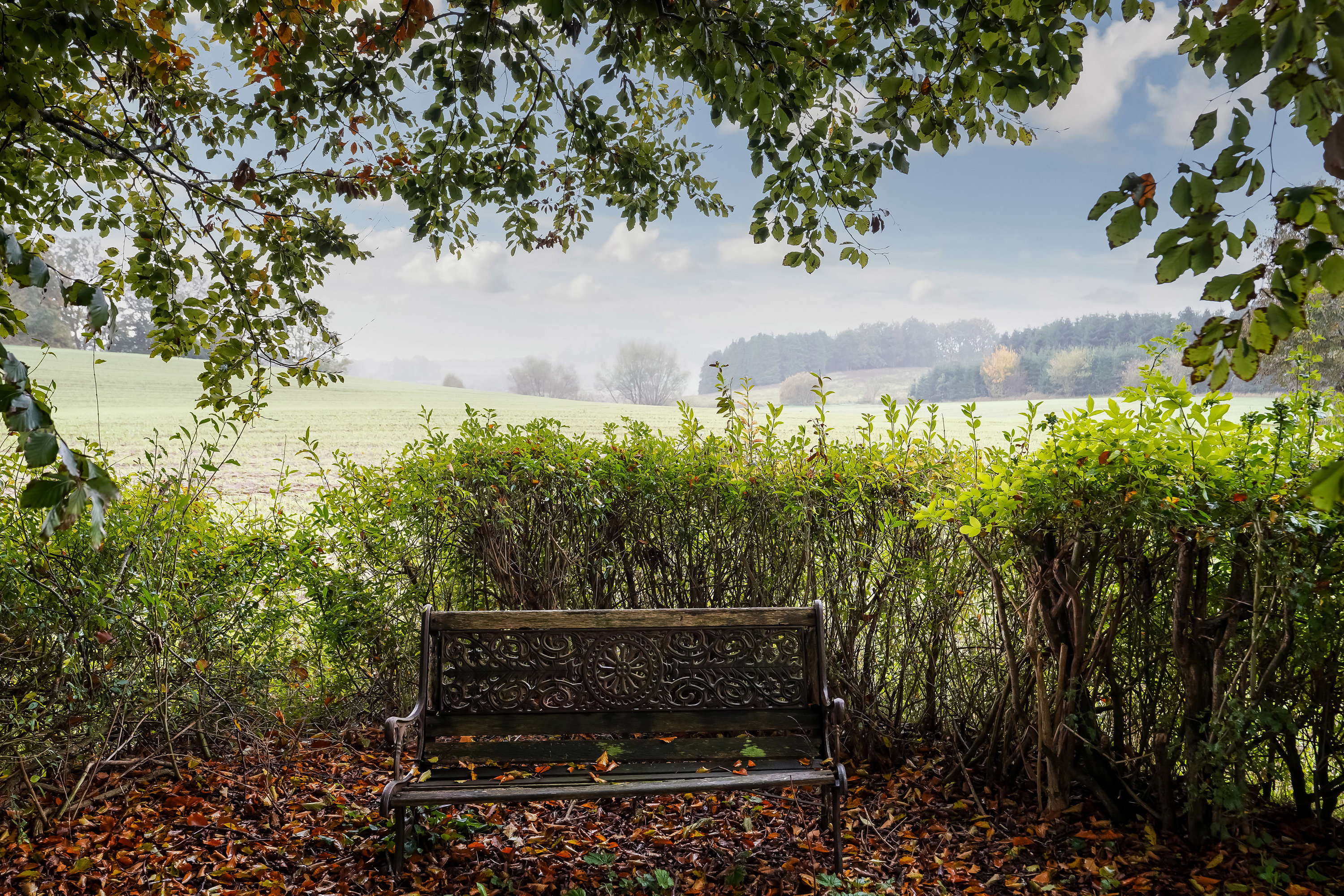 Fremhævet have billede i fuldskærmstilstand. Billede af Hjelmerupvej 40, Hjelmerup, 5690 Tommerup
