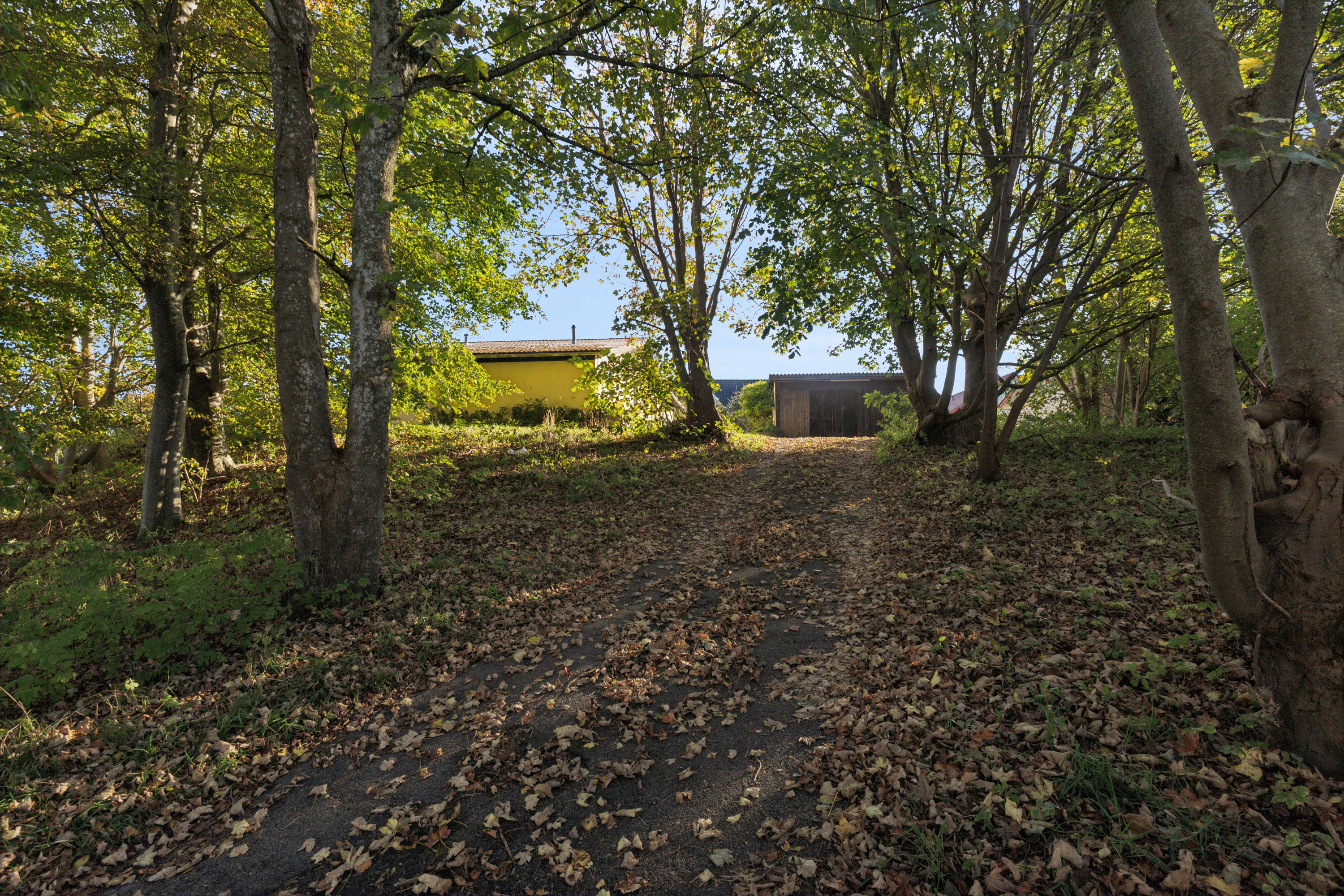 Fremhævet set fra haven billede i fuldskærmstilstand. Billede af Bøgstedvej 313, Astrup, 9800 Hjørring