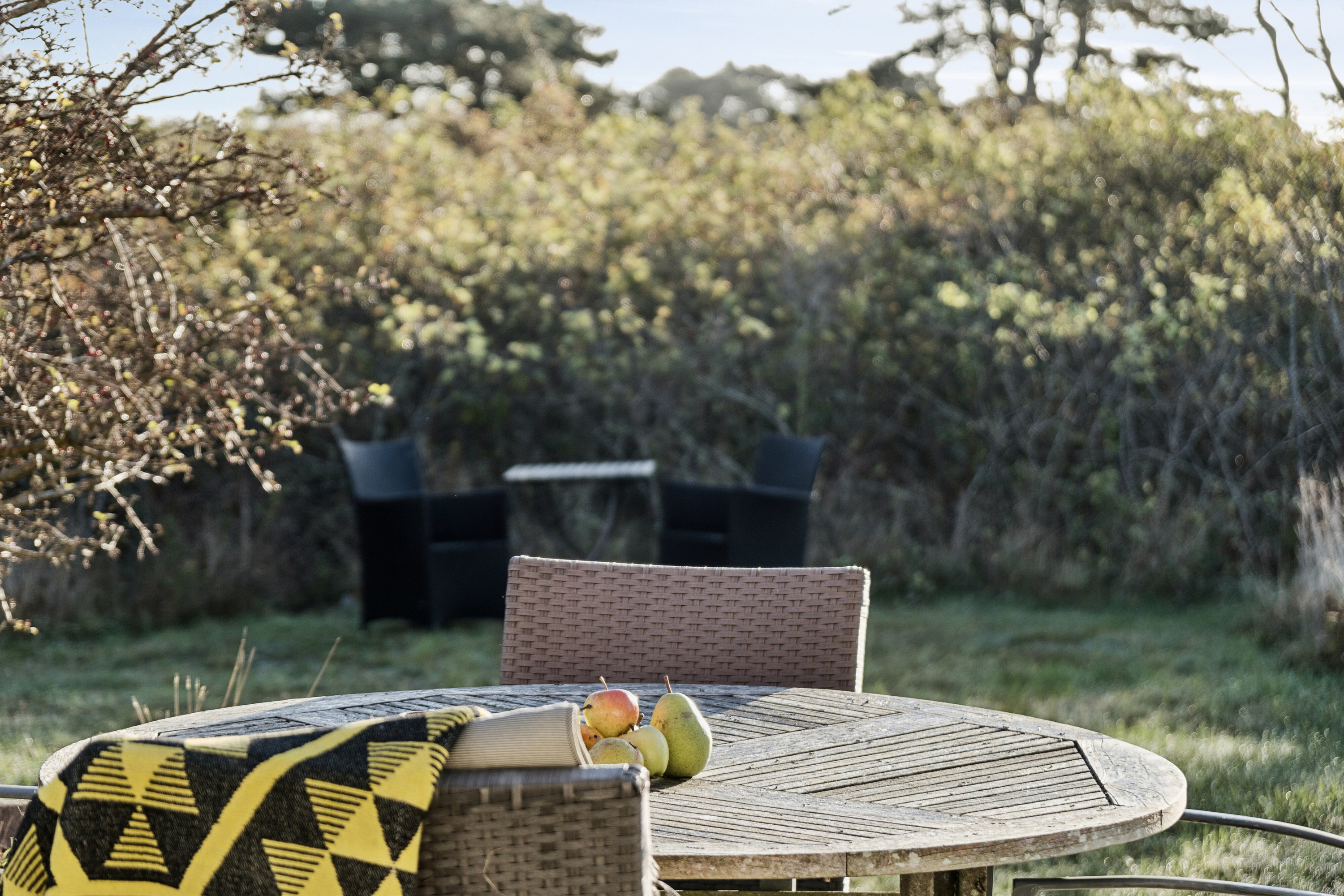 Fremhævet terrasse billede i fuldskærmstilstand. Billede af Vestre Skovlyvej 69, Overby Lyng, 4583 Sjællands Odde