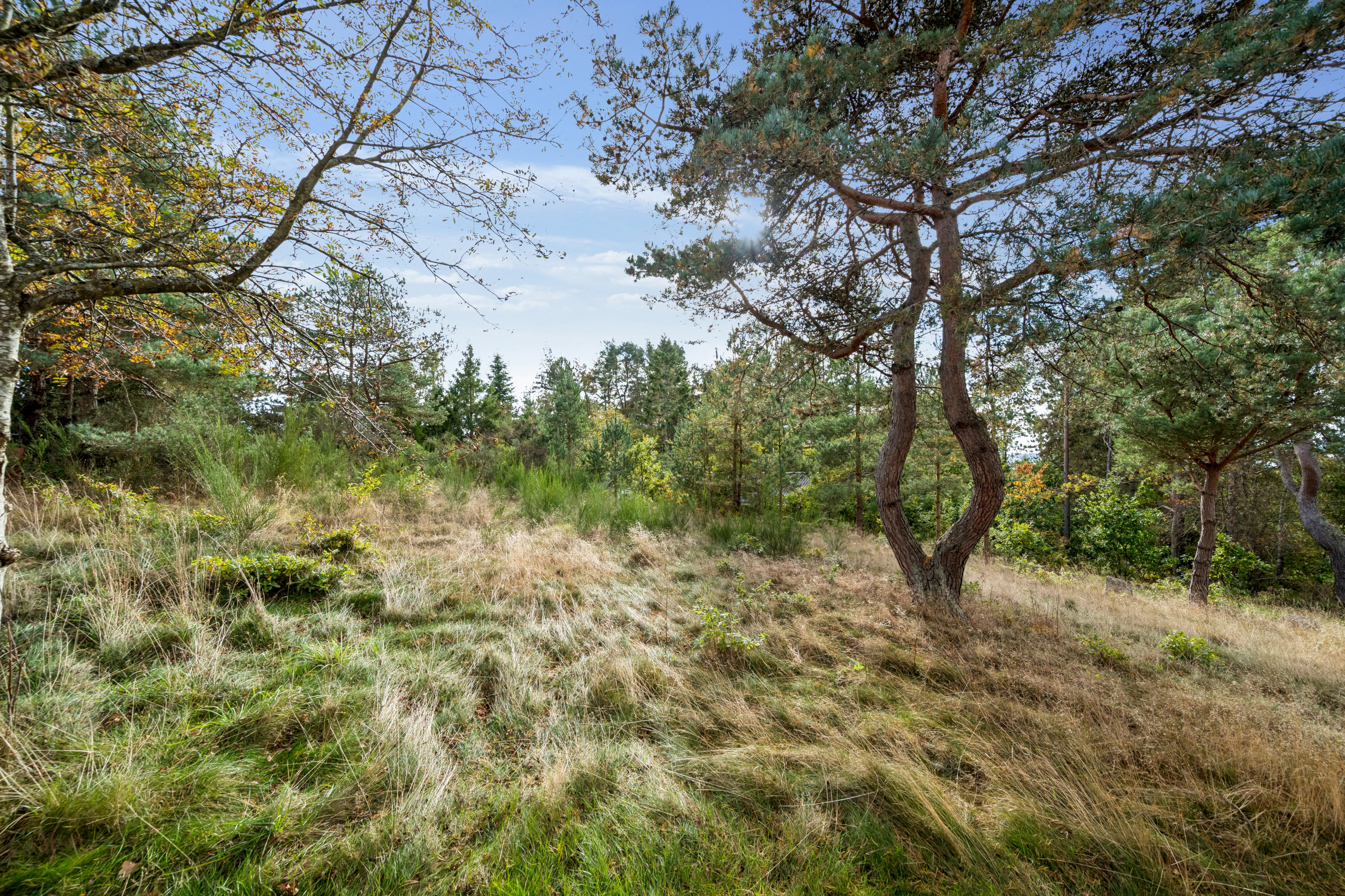 Fremhævet grund billede i fuldskærmstilstand. Billede af Klirevej 12, Handrup Strand, 8400 Ebeltoft