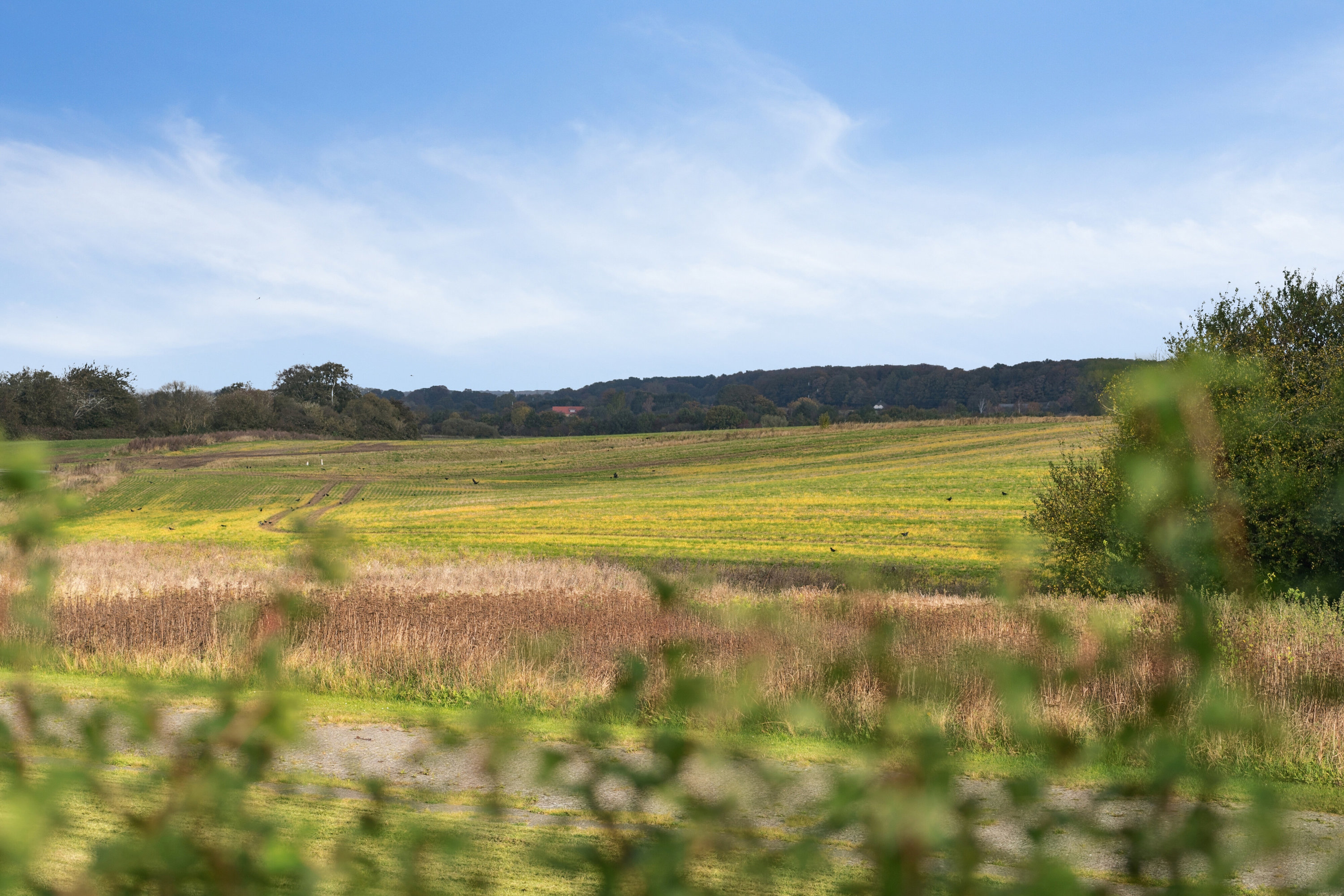 Fremhævet udsigt billede i fuldskærmstilstand. Billede af Stjernelunden 14, 4250 Fuglebjerg