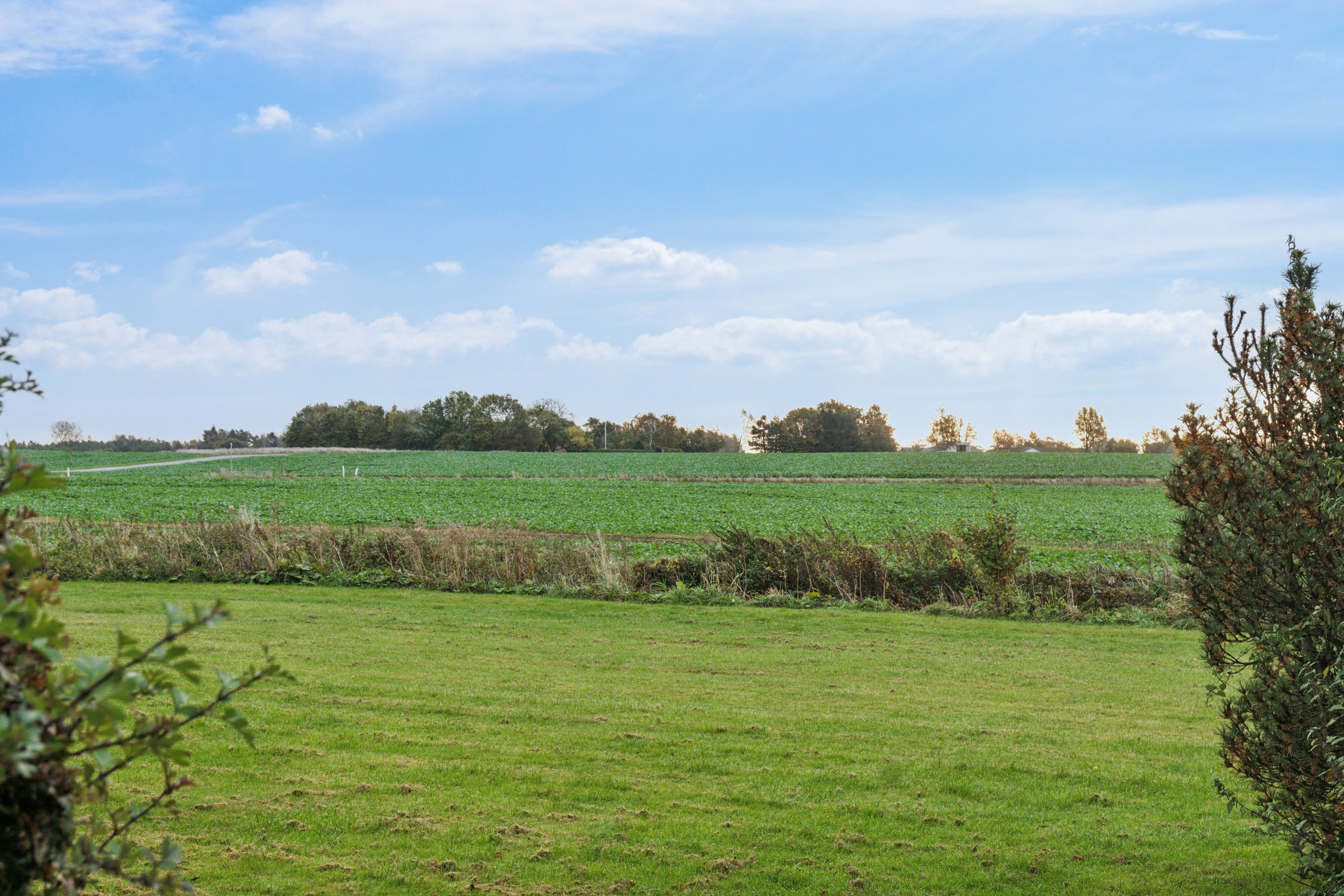 Miniaturebillede 1: havudsigt. Billede af Dalbovej 11, Dalby, 4690 Haslev