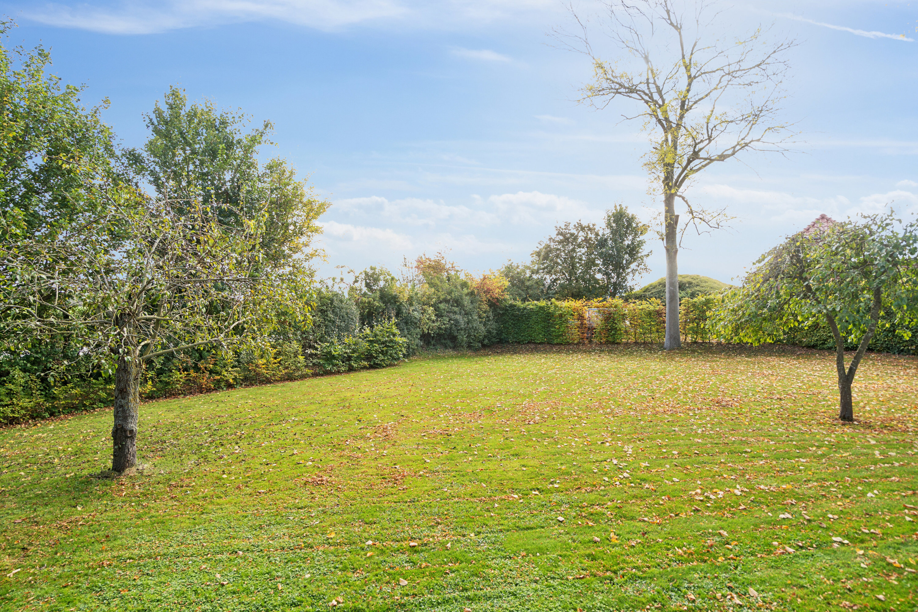 Fremhævet have billede i fuldskærmstilstand. Billede af Søvangsvej 15, Revninge, 5300 Kerteminde