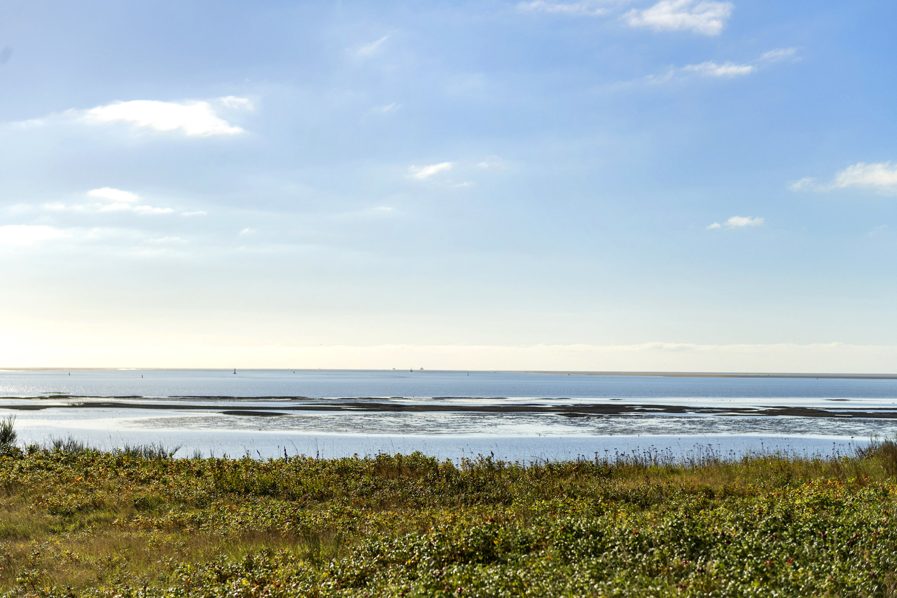 Fremhævet havudsigt billede i fuldskærmstilstand. Billede af Sædding Strandvej 117, 6710 Esbjerg V