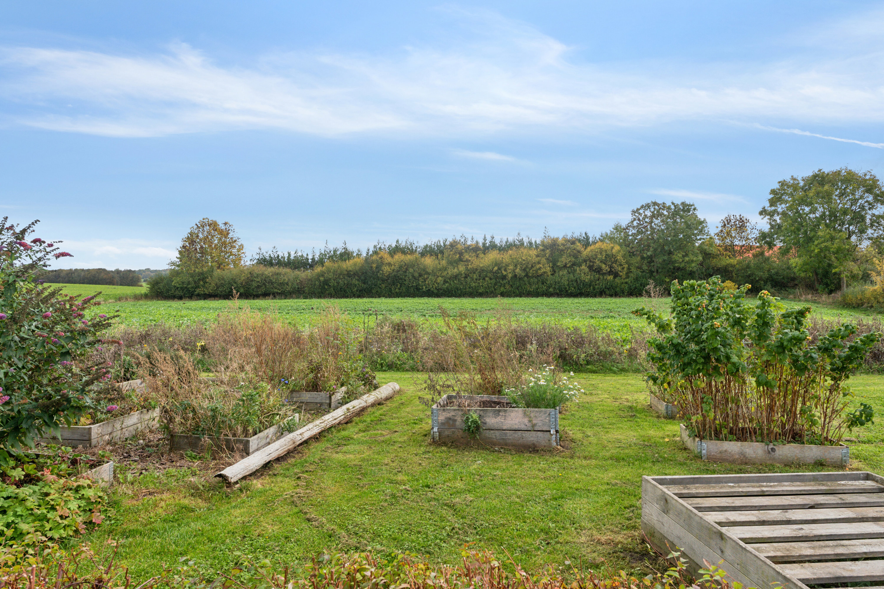 Fremhævet omgivelser billede i fuldskærmstilstand. Billede af Høstenvej 21, Høsten, 4690 Haslev