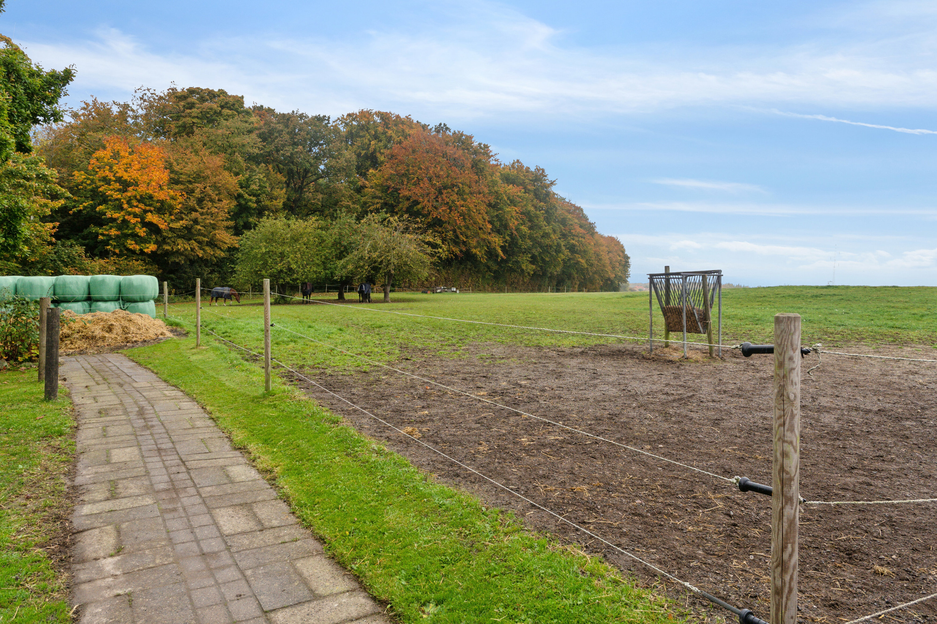 Fremhævet have billede i fuldskærmstilstand. Billede af Evensølundvej 4, 4720 Præstø