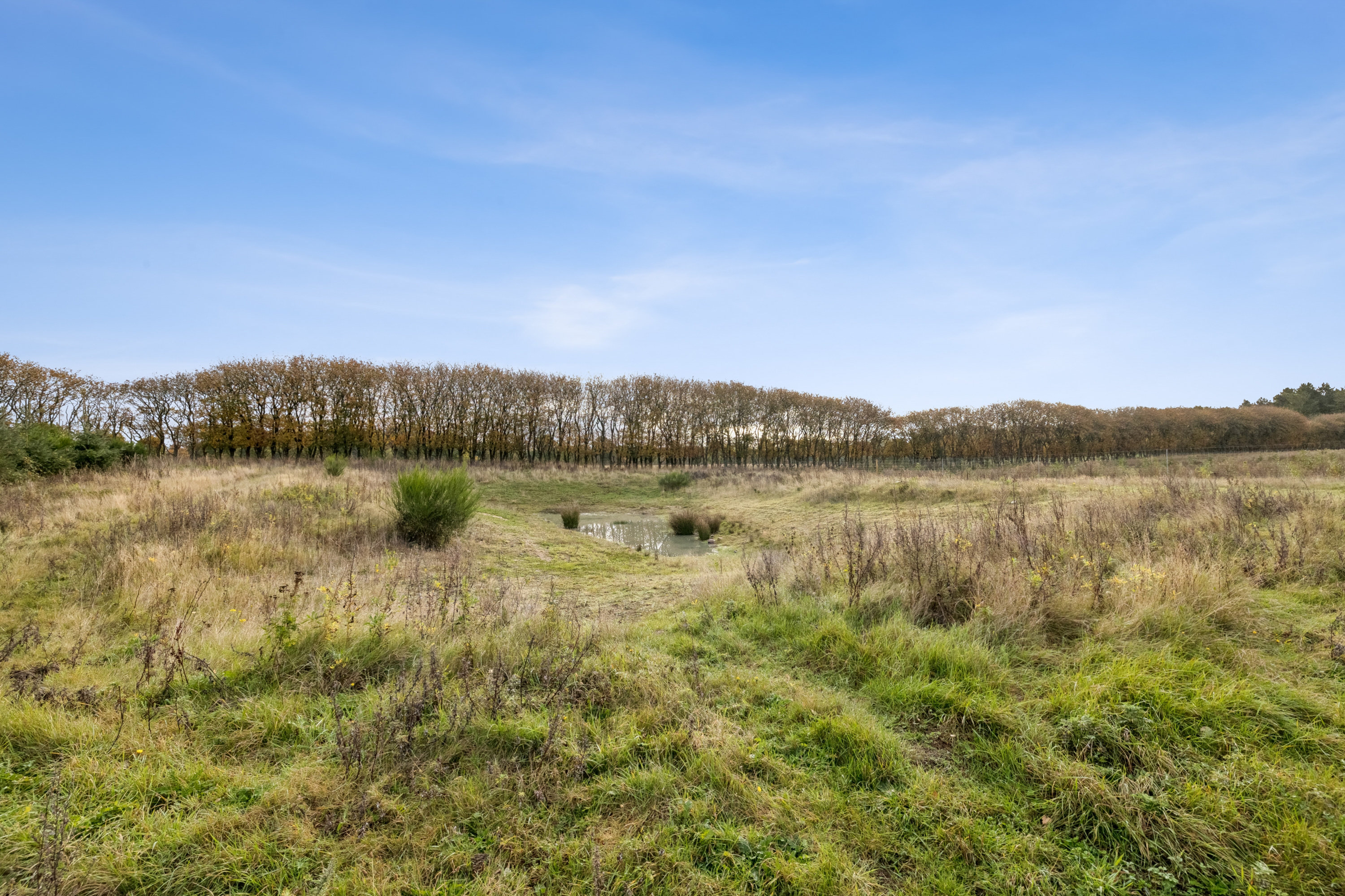 Fremhævet grund billede i fuldskærmstilstand. Billede af Brunhøjvej 6, 8585 Glesborg