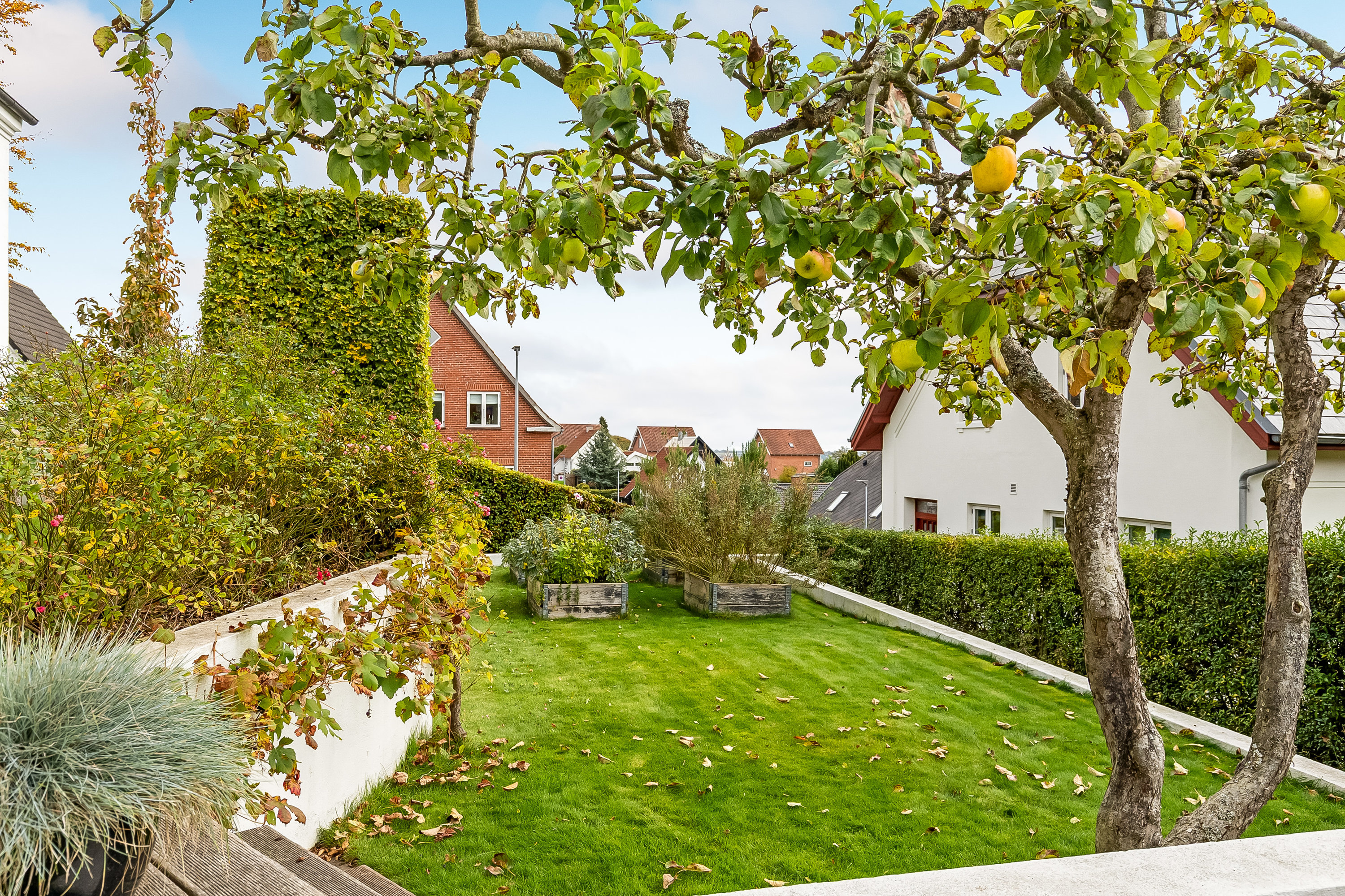 Fremhævet have billede i fuldskærmstilstand. Billede af Koldingbjerg 25, 6000 Kolding