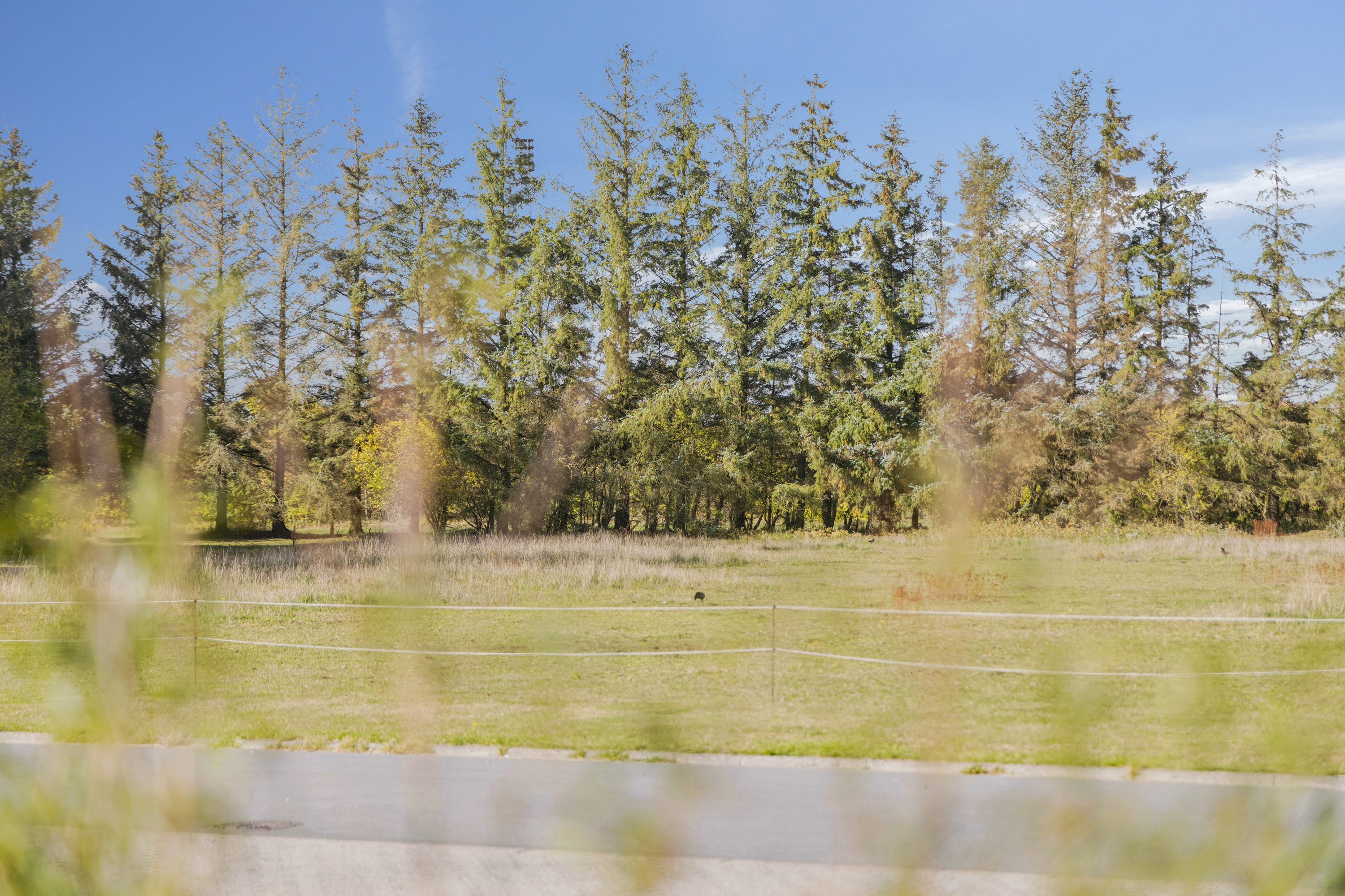 Fremhævet andet billede i fuldskærmstilstand. Billede af Tennisskoven 71, 9320 Hjallerup