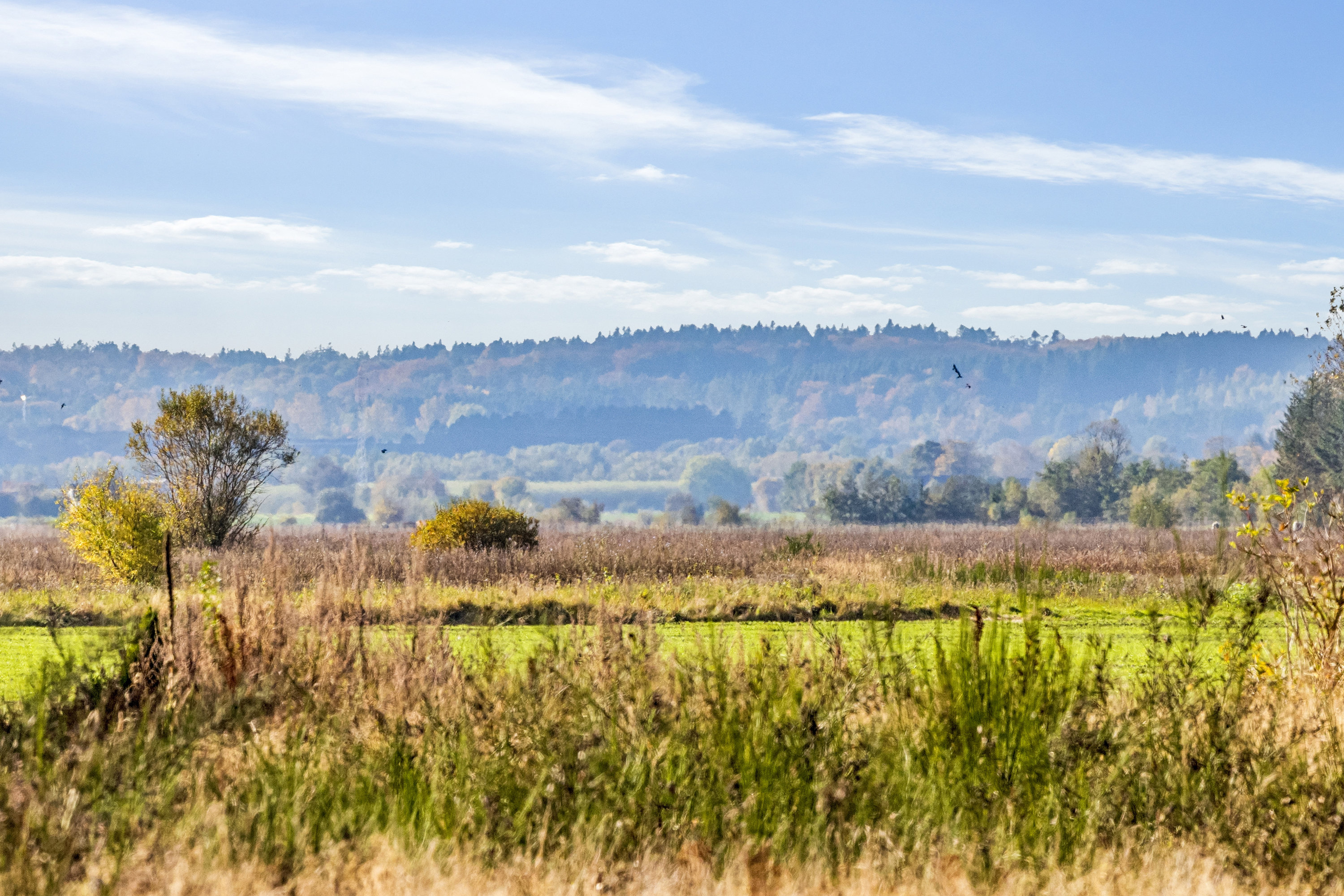 Fremhævet udsigt billede i fuldskærmstilstand. Billede af Tennisskoven 71, 9320 Hjallerup