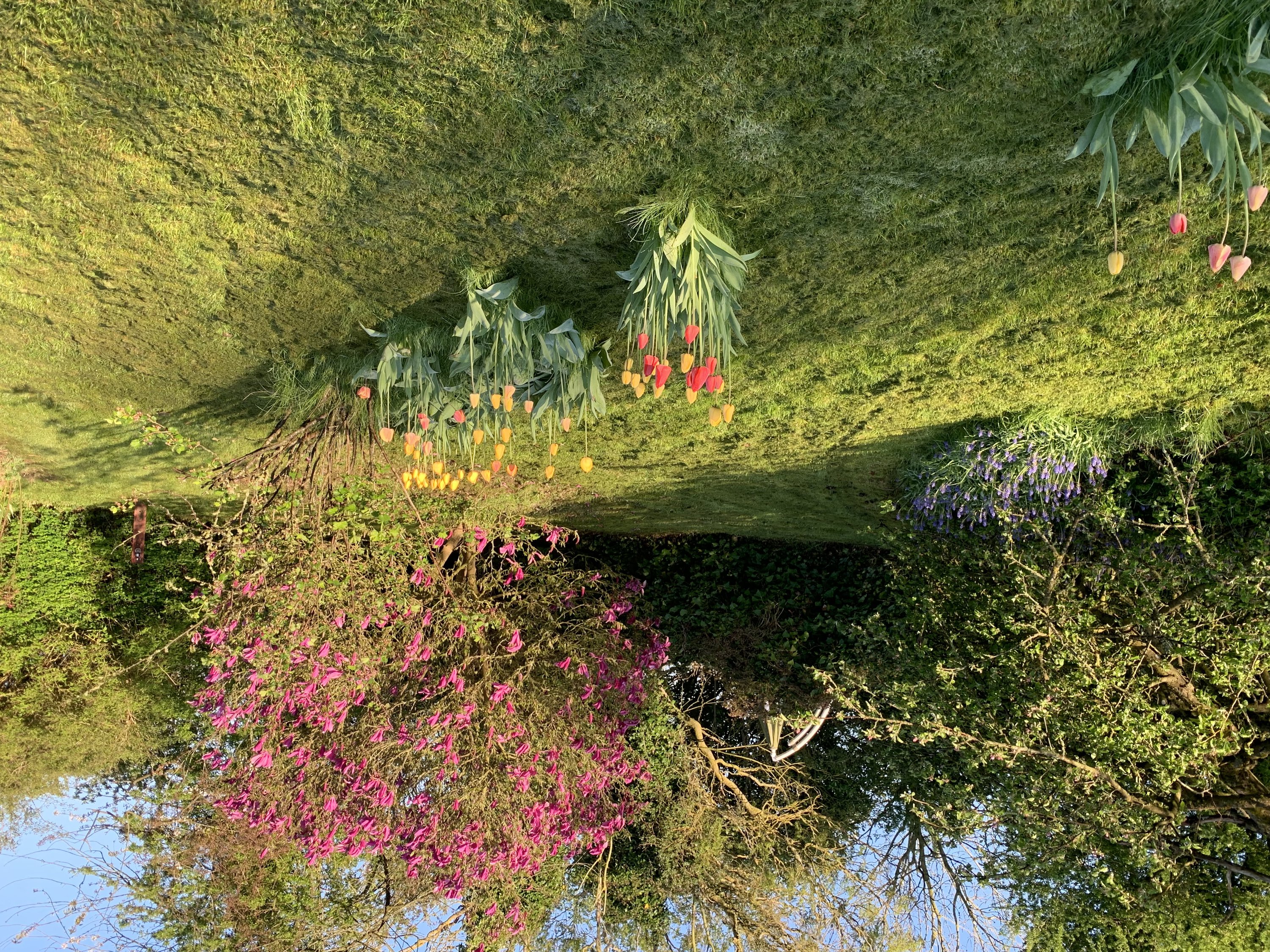 Fremhævet  billede i fuldskærmstilstand. Billede af Vesterballe 13, Brandsbøl, 6430 Nordborg