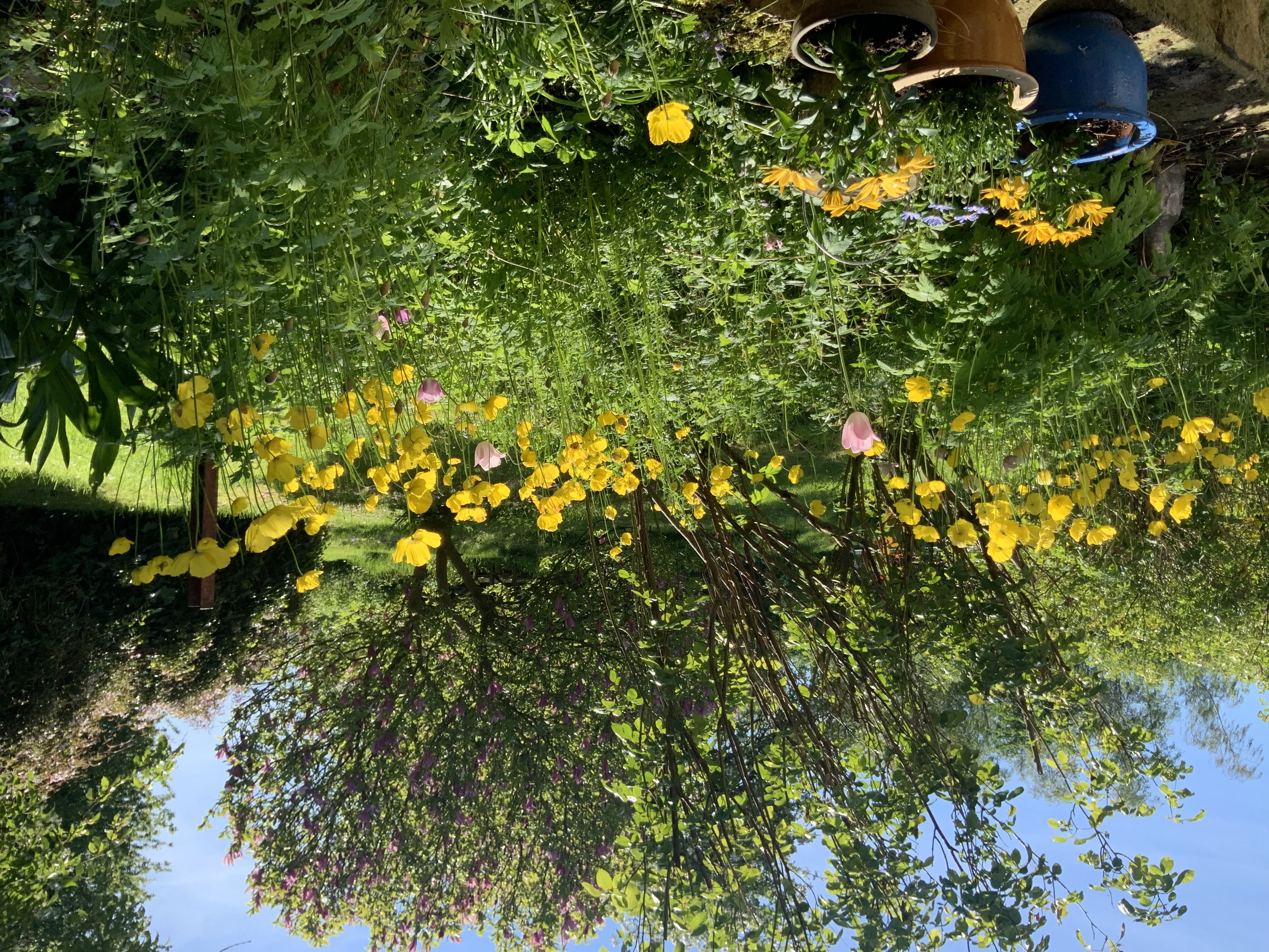 Fremhævet  billede i fuldskærmstilstand. Billede af Vesterballe 13, Brandsbøl, 6430 Nordborg