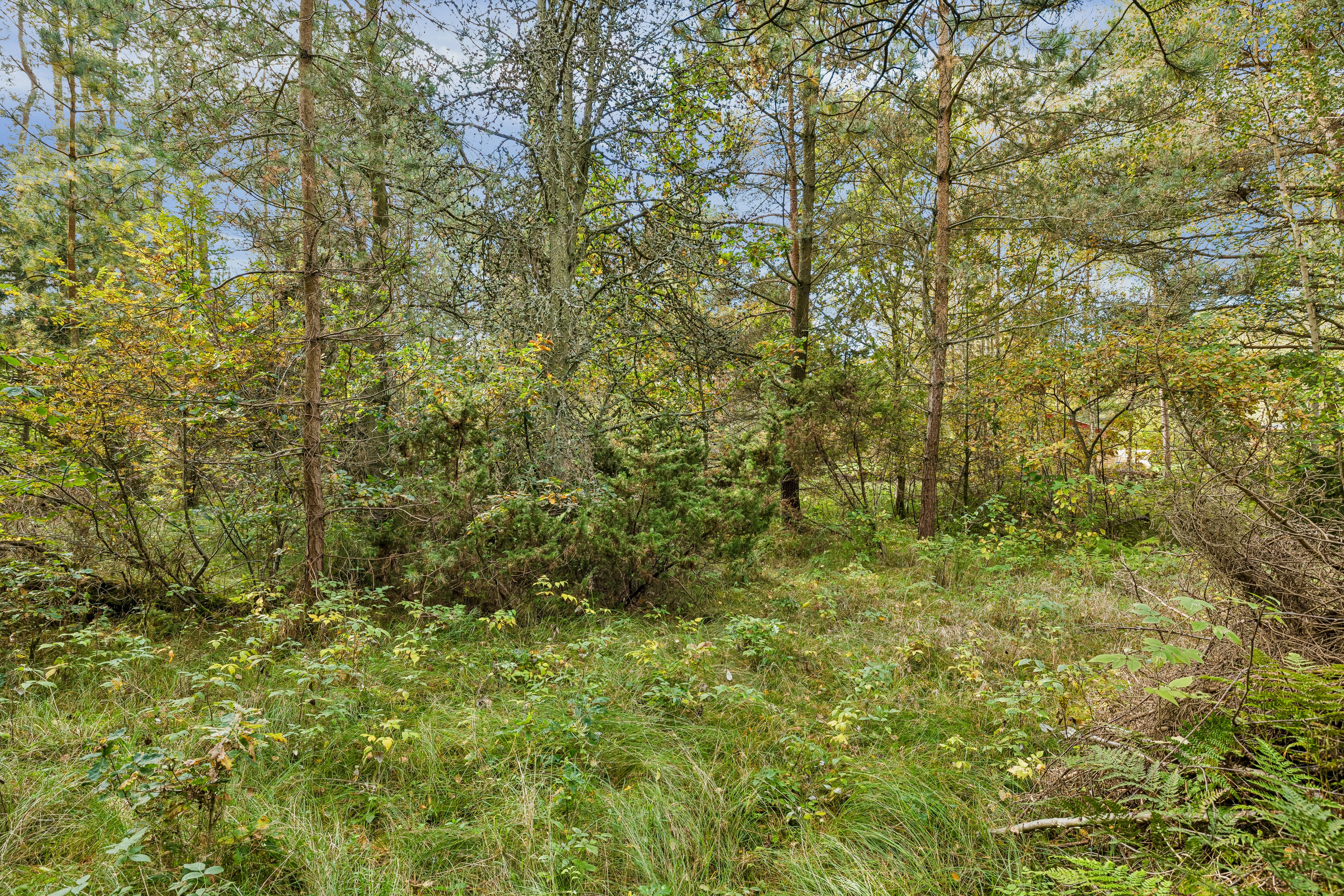 Fremhævet  billede i fuldskærmstilstand. Billede af Ved Havet 14, Helberskov, 9560 Hadsund