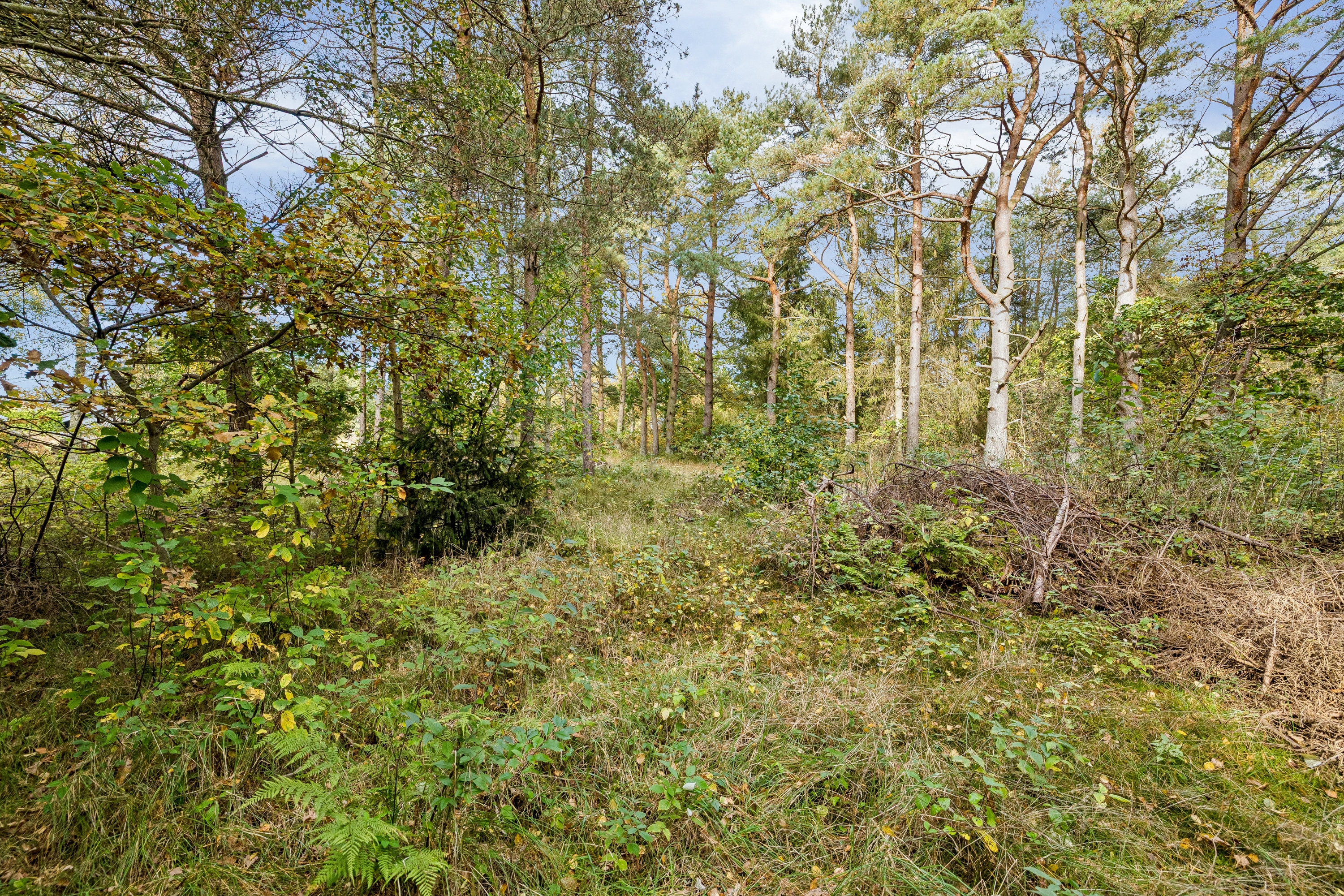 Miniaturebillede 1: . Billede af Ved Havet 14, Helberskov, 9560 Hadsund