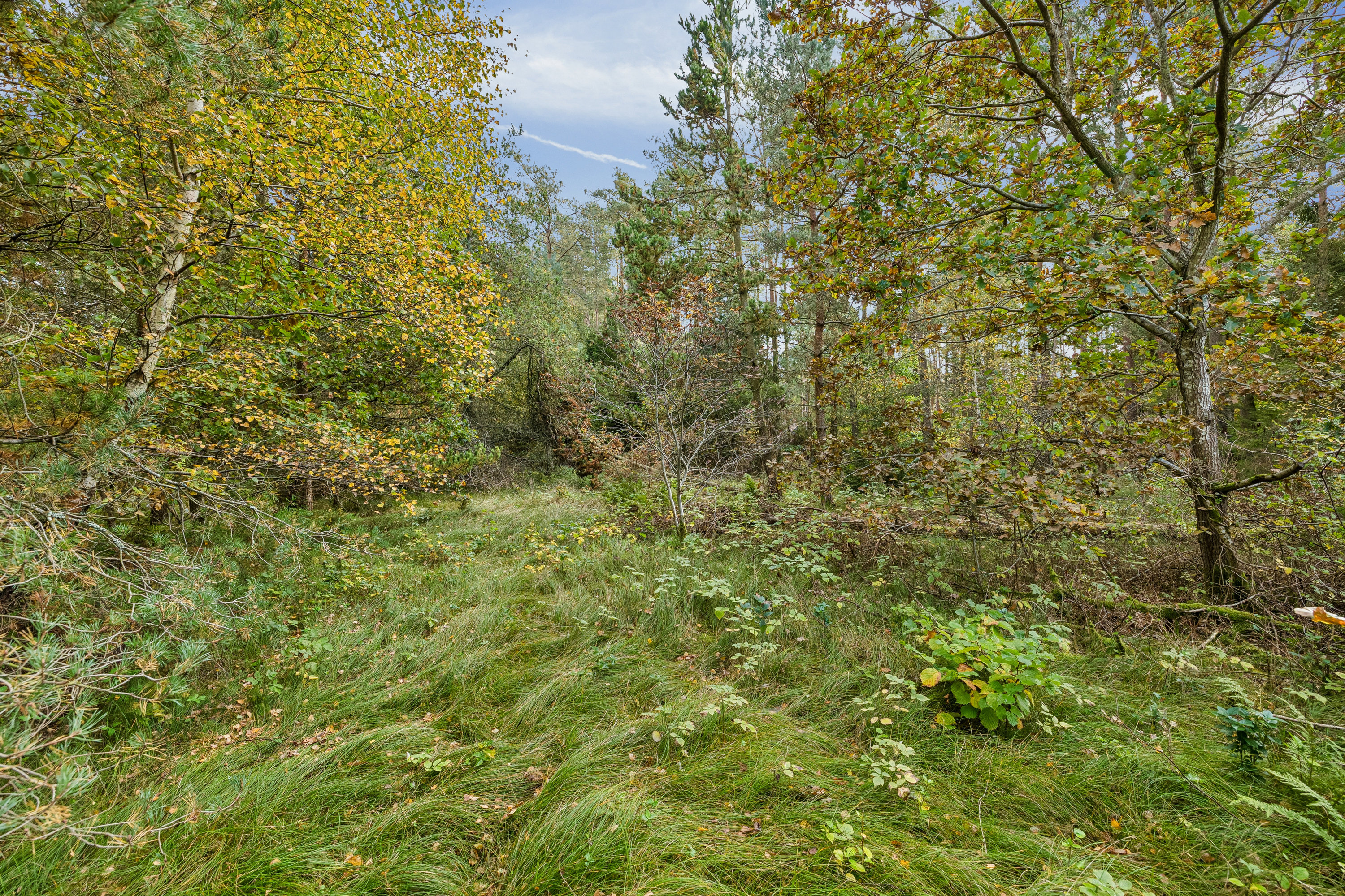 Fremhævet  billede i fuldskærmstilstand. Billede af Ved Havet 14, Helberskov, 9560 Hadsund
