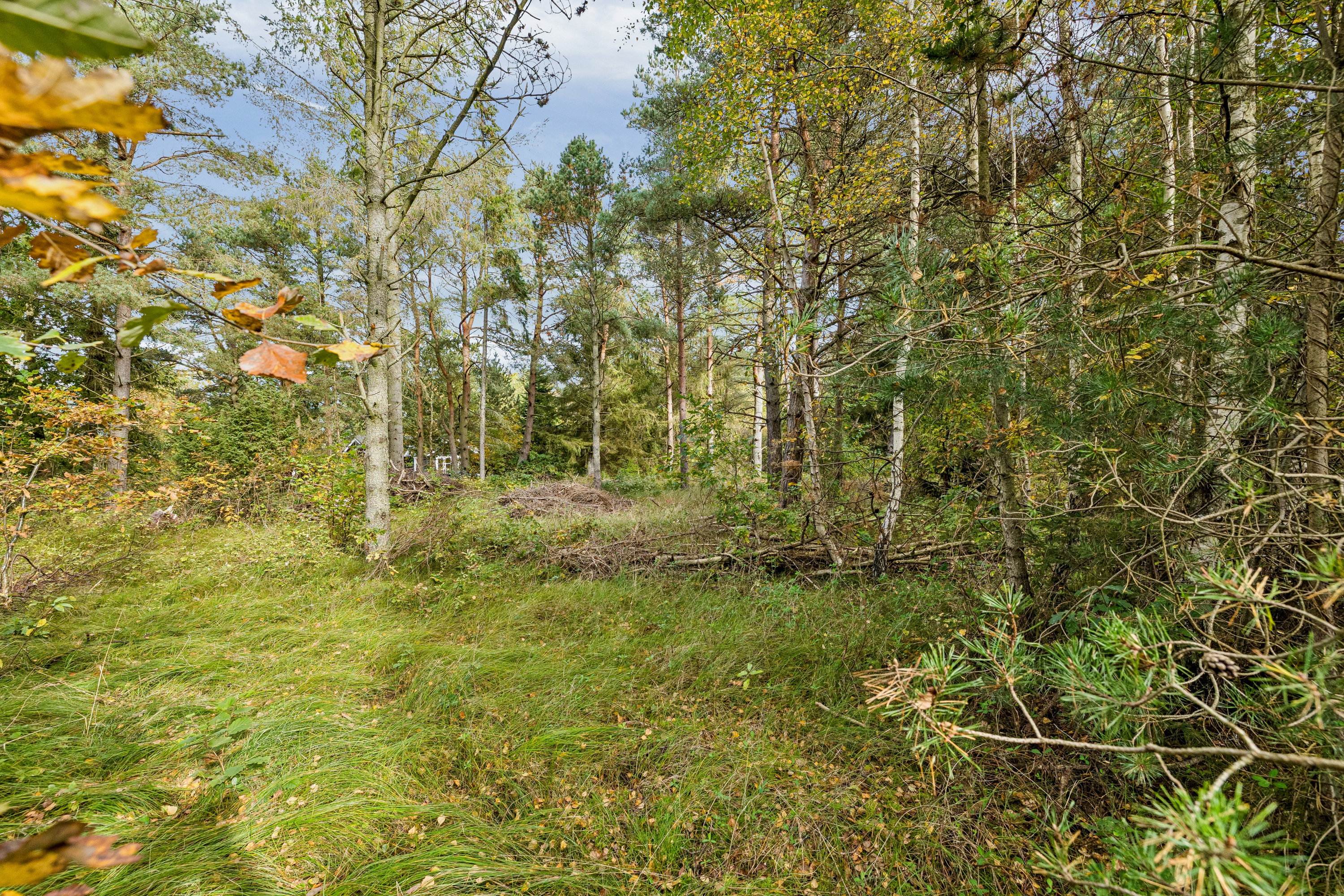 Fremhævet  billede i fuldskærmstilstand. Billede af Ved Havet 14, Helberskov, 9560 Hadsund