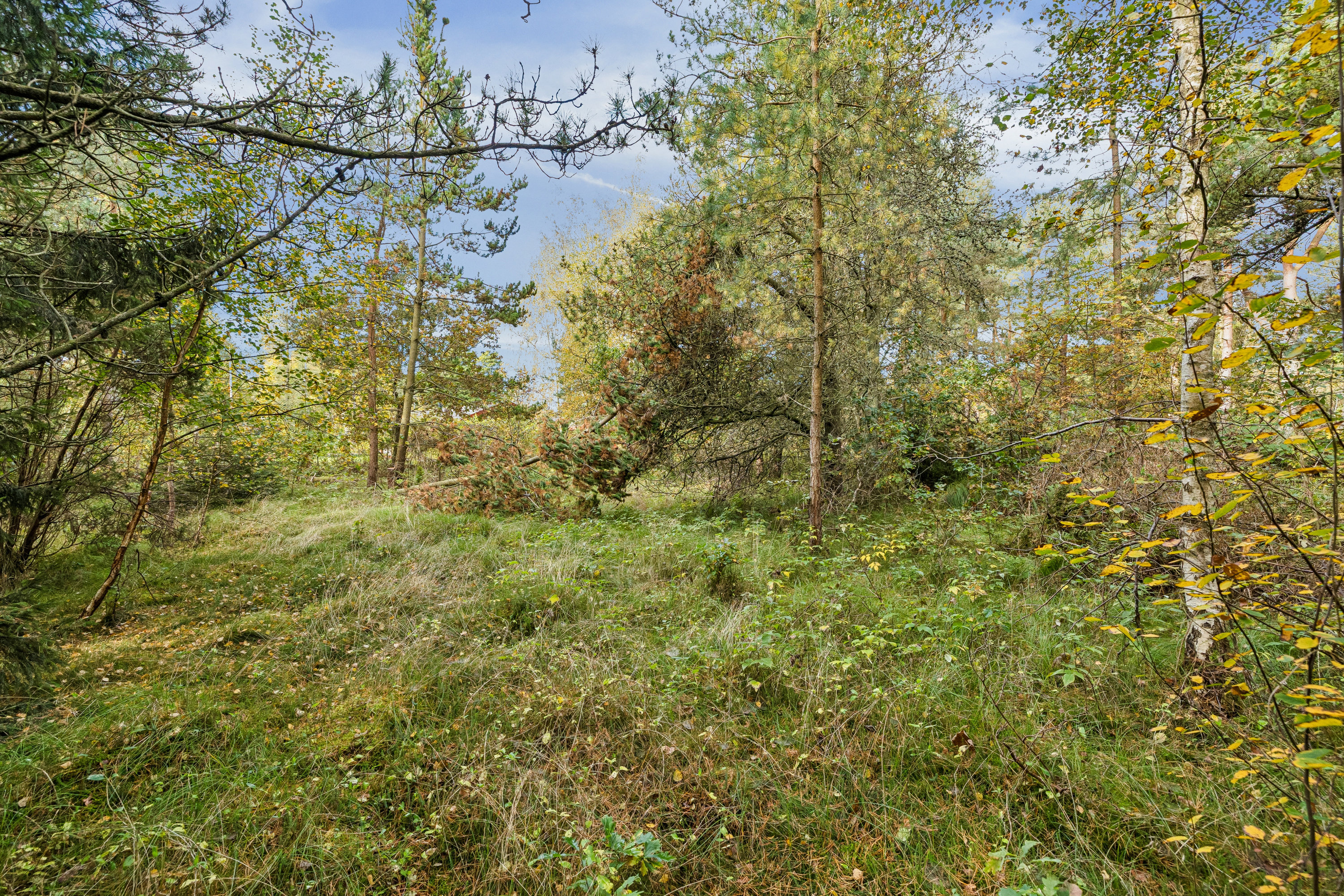 Fremhævet  billede i fuldskærmstilstand. Billede af Ved Havet 14, Helberskov, 9560 Hadsund