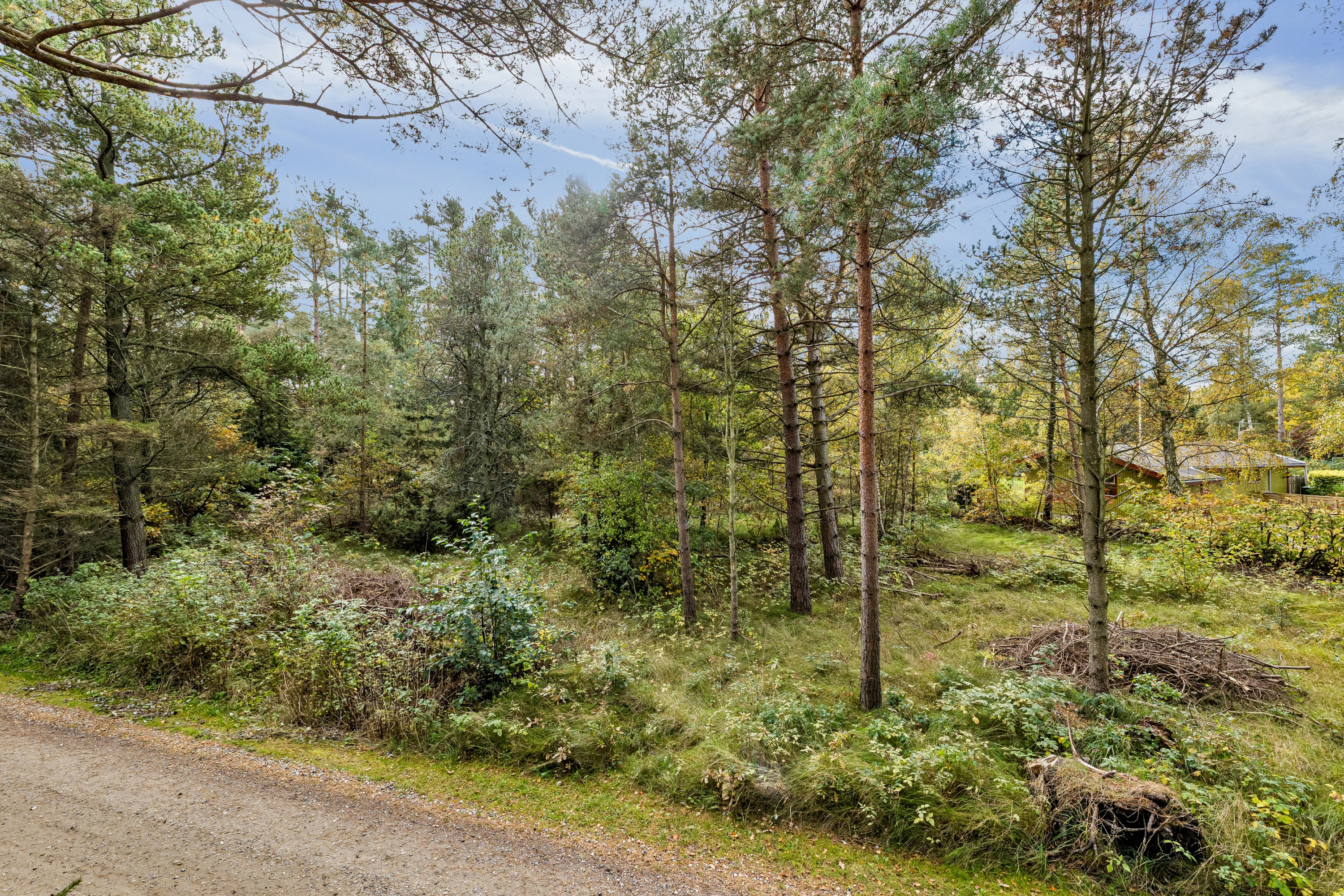 Fremhævet  billede i fuldskærmstilstand. Billede af Ved Havet 14, Helberskov, 9560 Hadsund