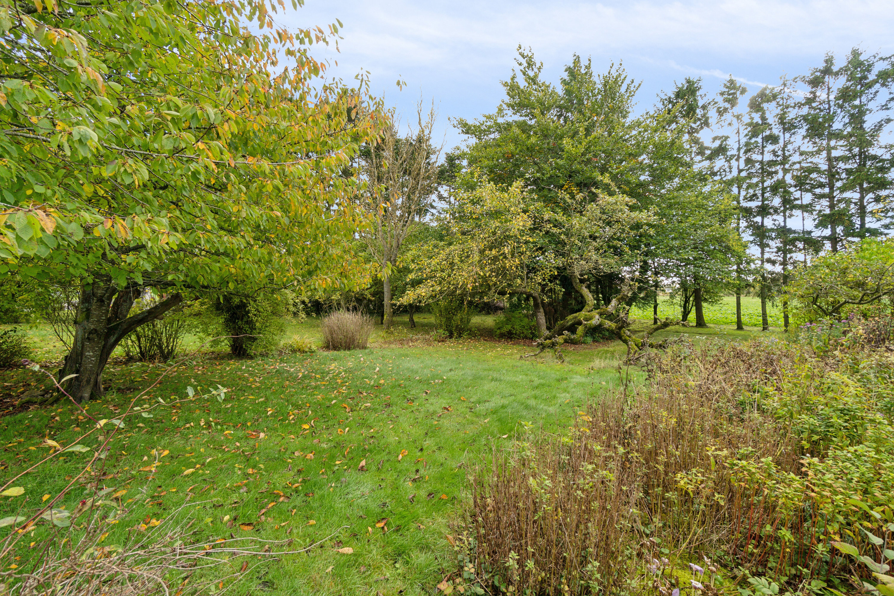 Fremhævet have billede i fuldskærmstilstand. Billede af Nordre Smålyngsvej 2, 3720 Aakirkeby