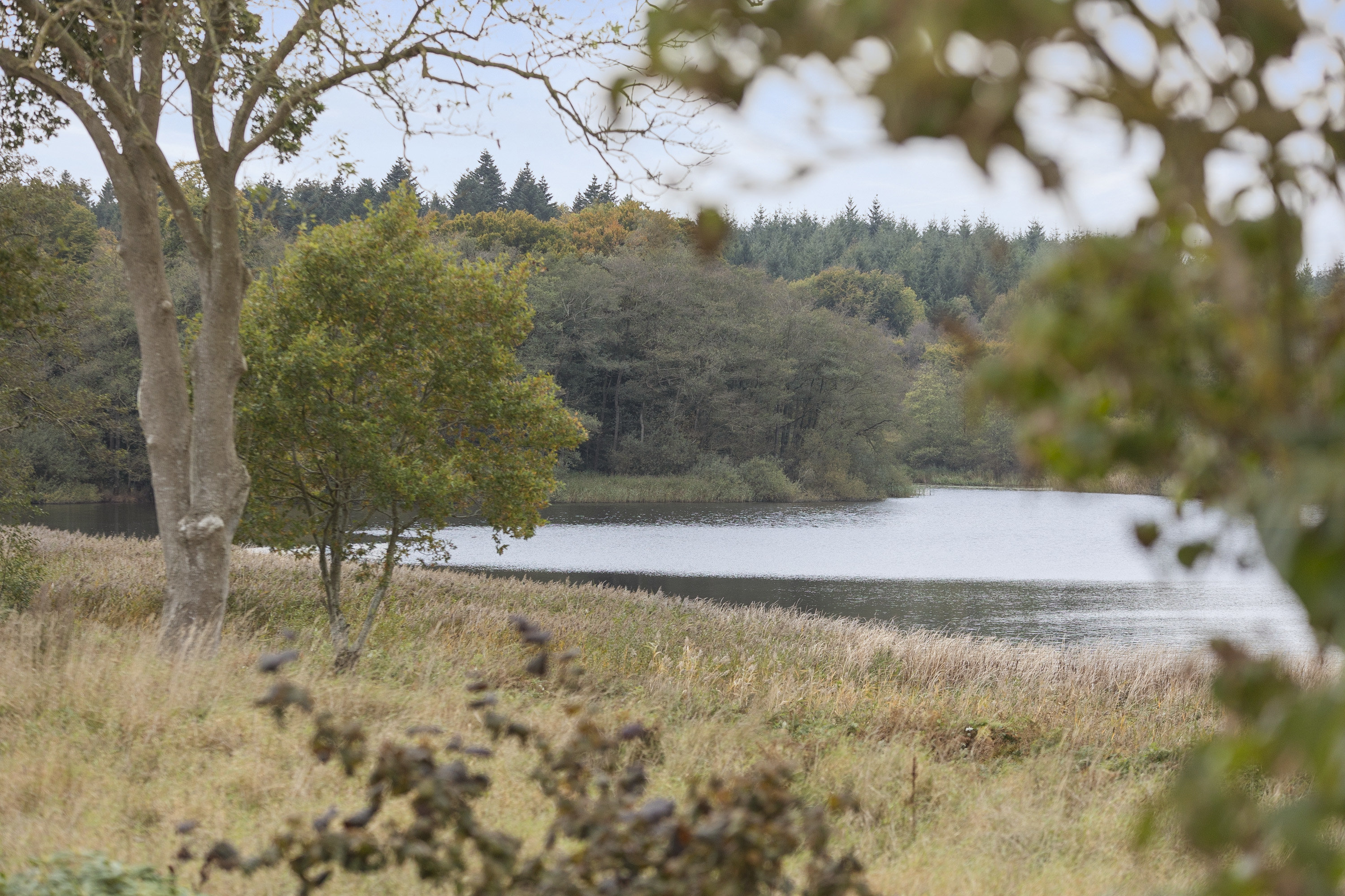 Fremhævet område billede i fuldskærmstilstand. Billede af Rantzausvej 22, Søgaard, 6200 Aabenraa