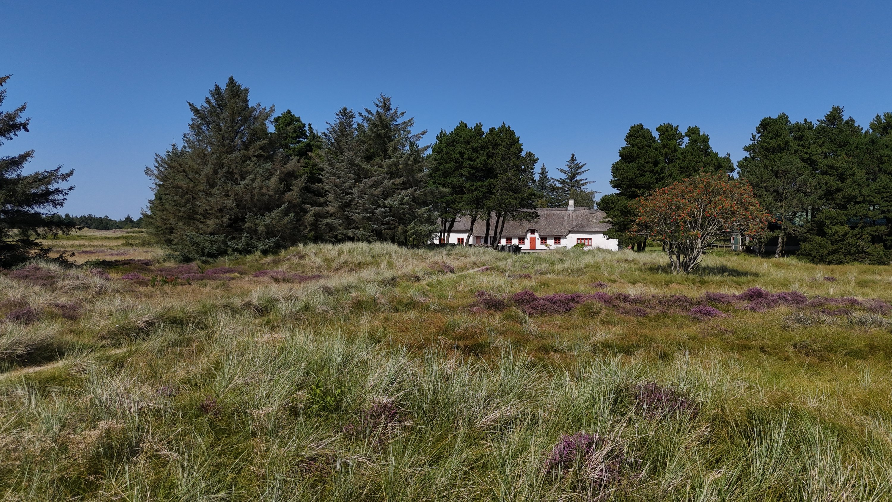 Fremhævet  billede i fuldskærmstilstand. Billede af Tane Hedevej 39, 6857 Blåvand