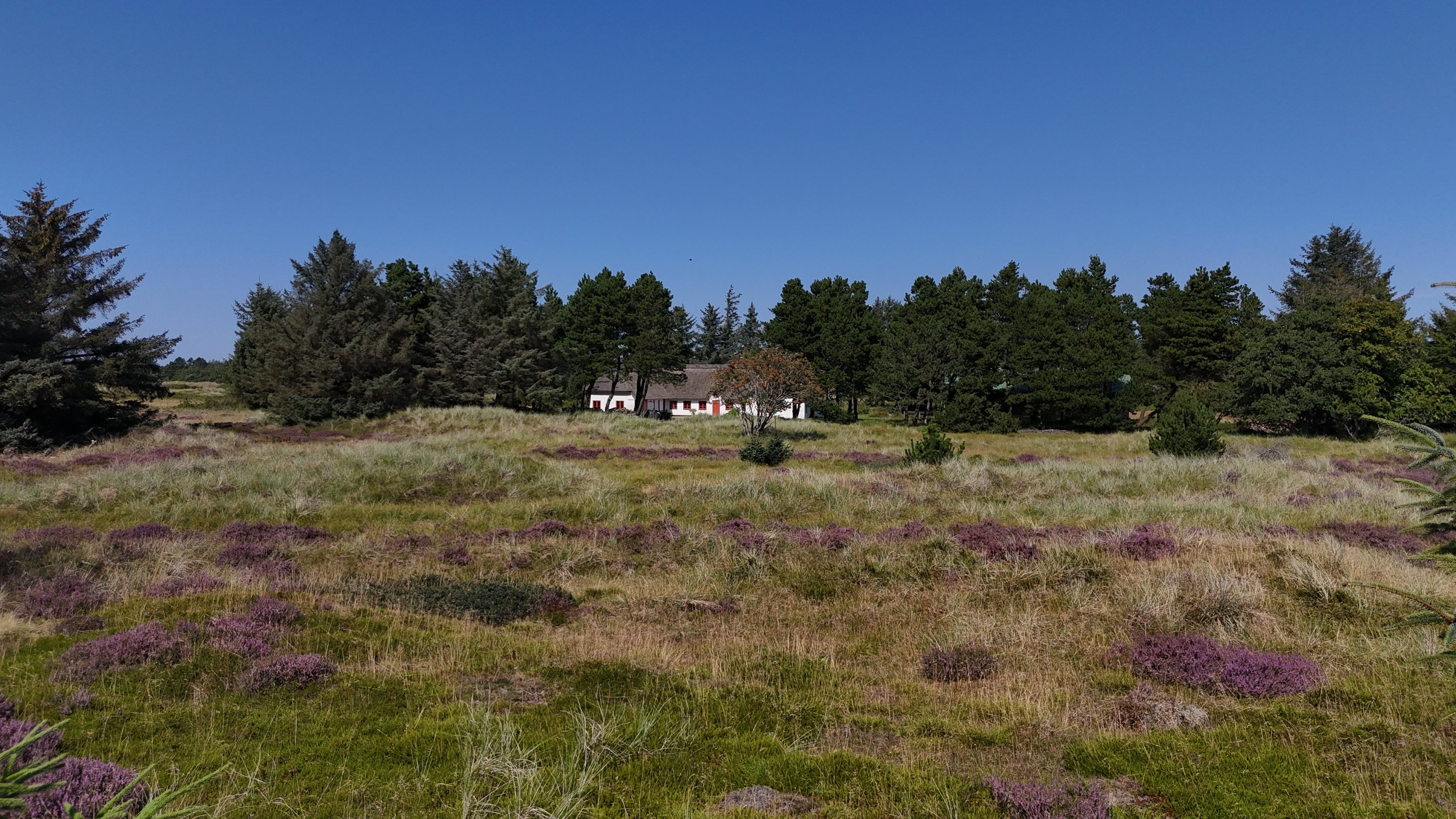 Fremhævet  billede i fuldskærmstilstand. Billede af Tane Hedevej 39, 6857 Blåvand