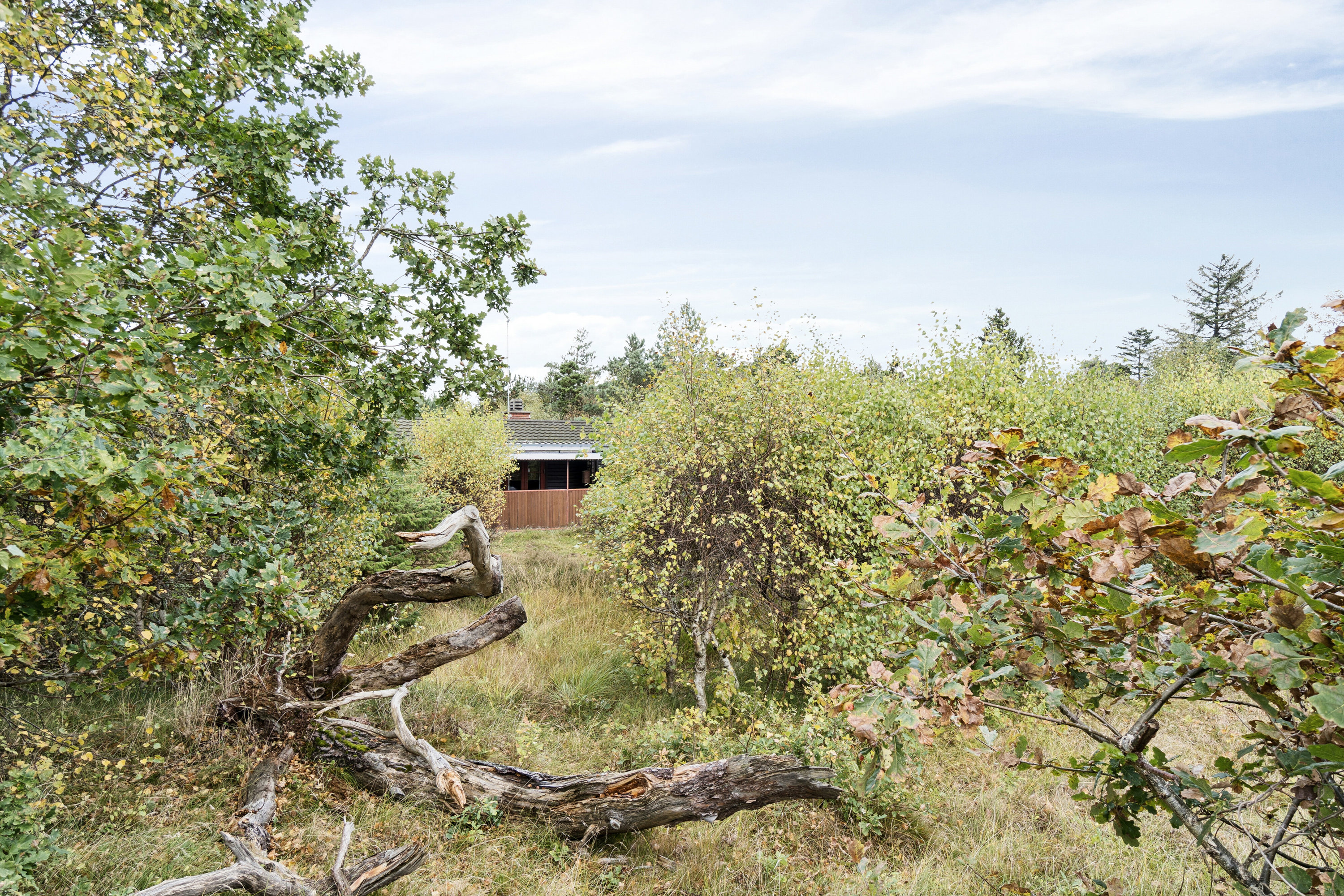 Fremhævet udendørs billede i fuldskærmstilstand. Billede af Gudmindrup Strandvej 98, Gudmindrup Lyng, 4573 Højby