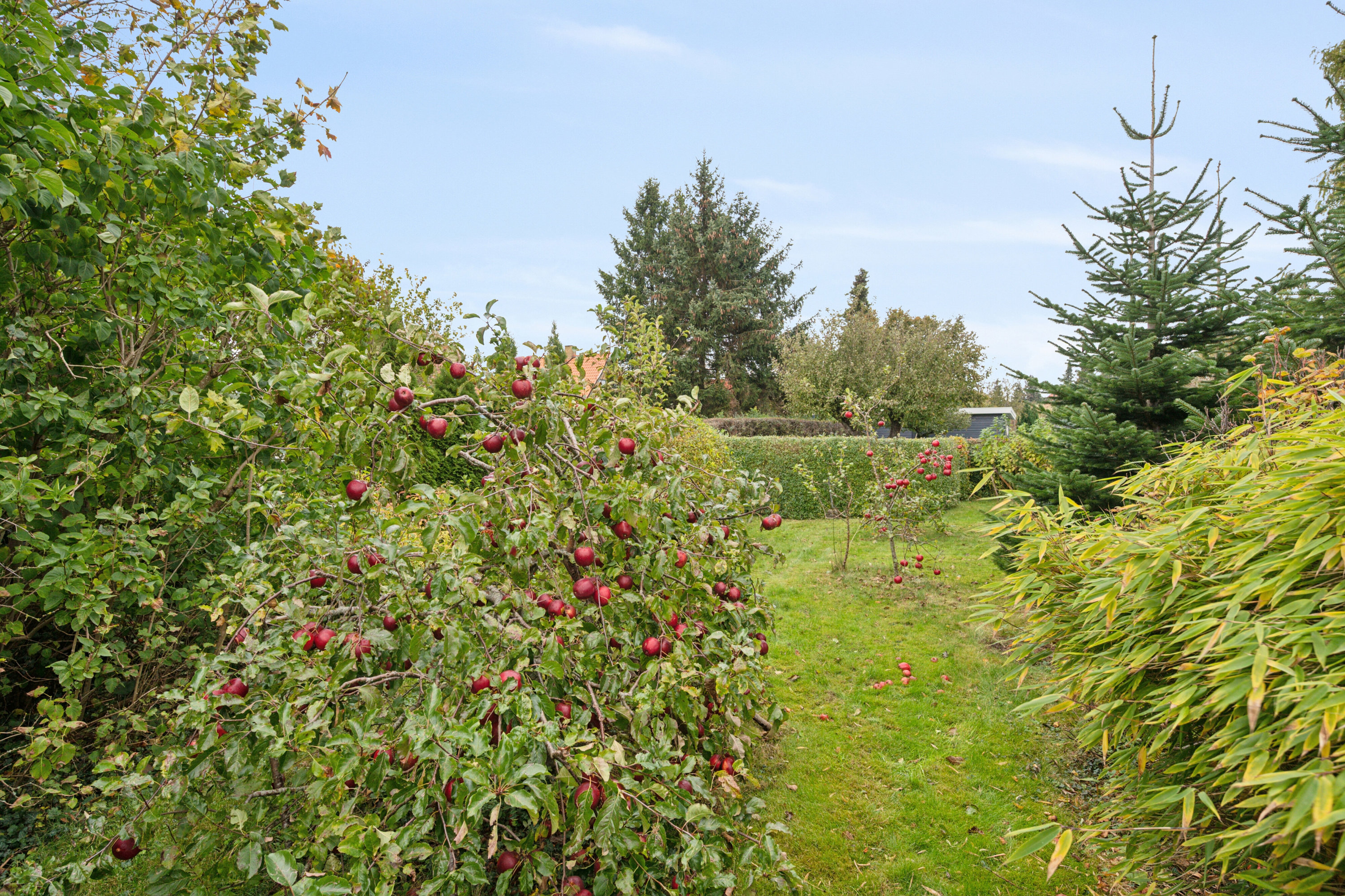 Fremhævet udendørs billede i fuldskærmstilstand. Billede af Snerlevej 18, 4000 Roskilde