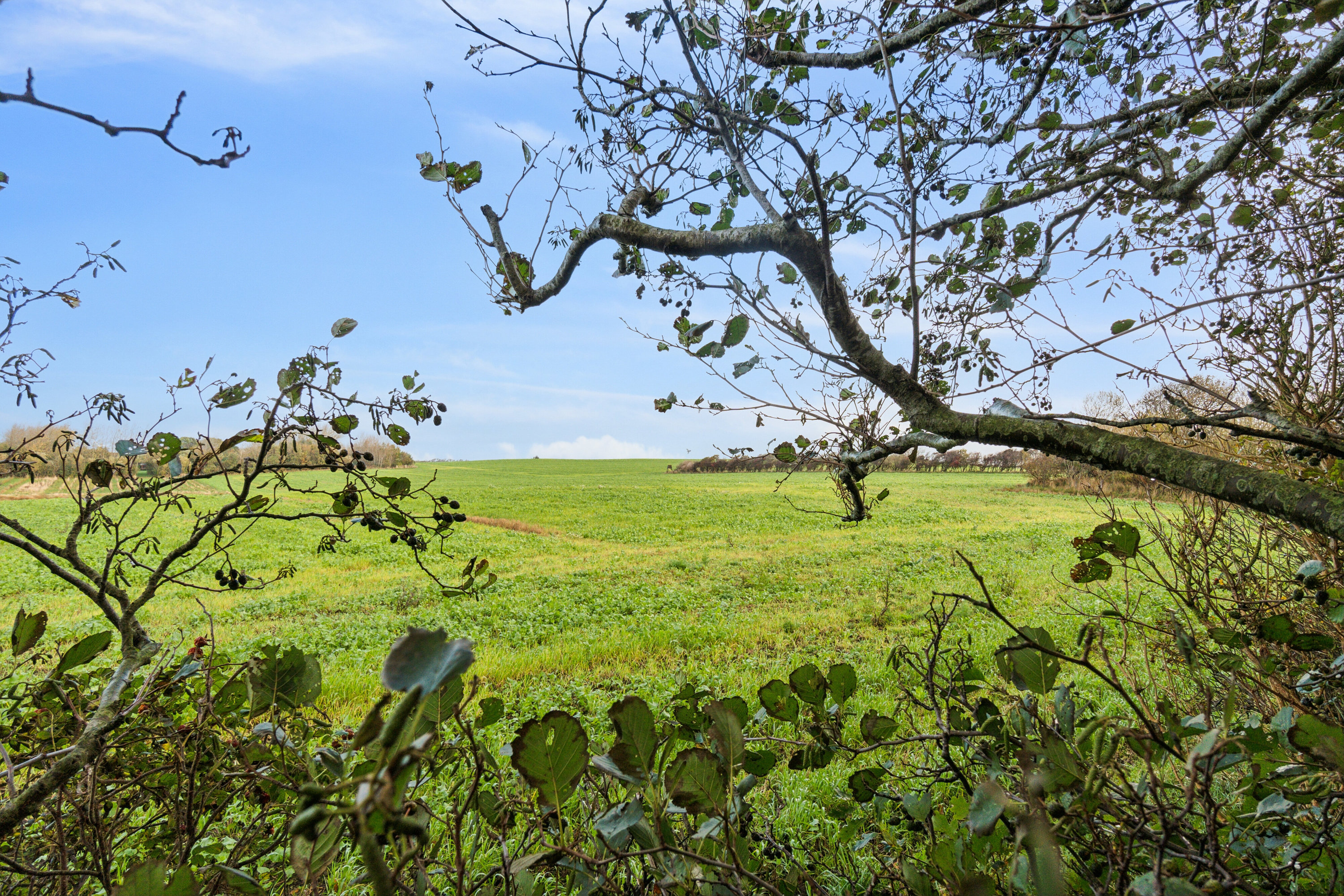 Fremhævet udendørs billede i fuldskærmstilstand. Billede af Dalgårdvej 16, 7755 Bedsted Thy