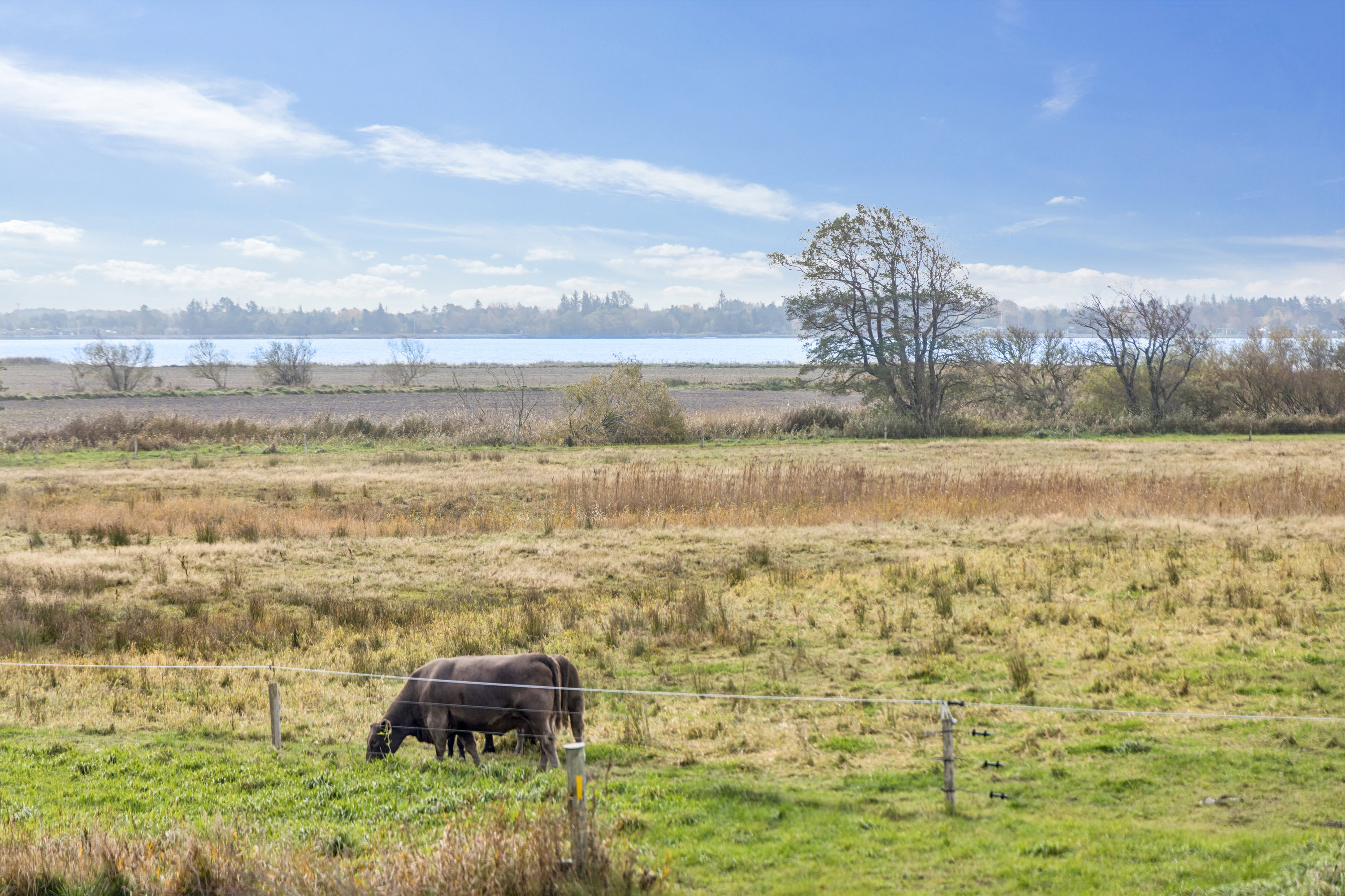 Fremhævet område billede i fuldskærmstilstand. Billede af Sønderskovvej 170, 9370 Hals
