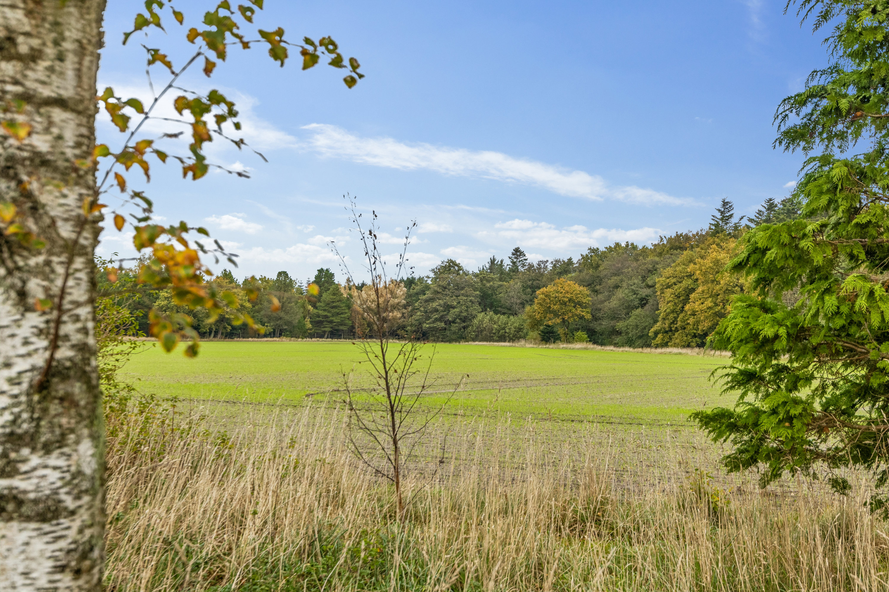 Fremhævet andet billede i fuldskærmstilstand. Billede af Sønderskovvej 170, 9370 Hals