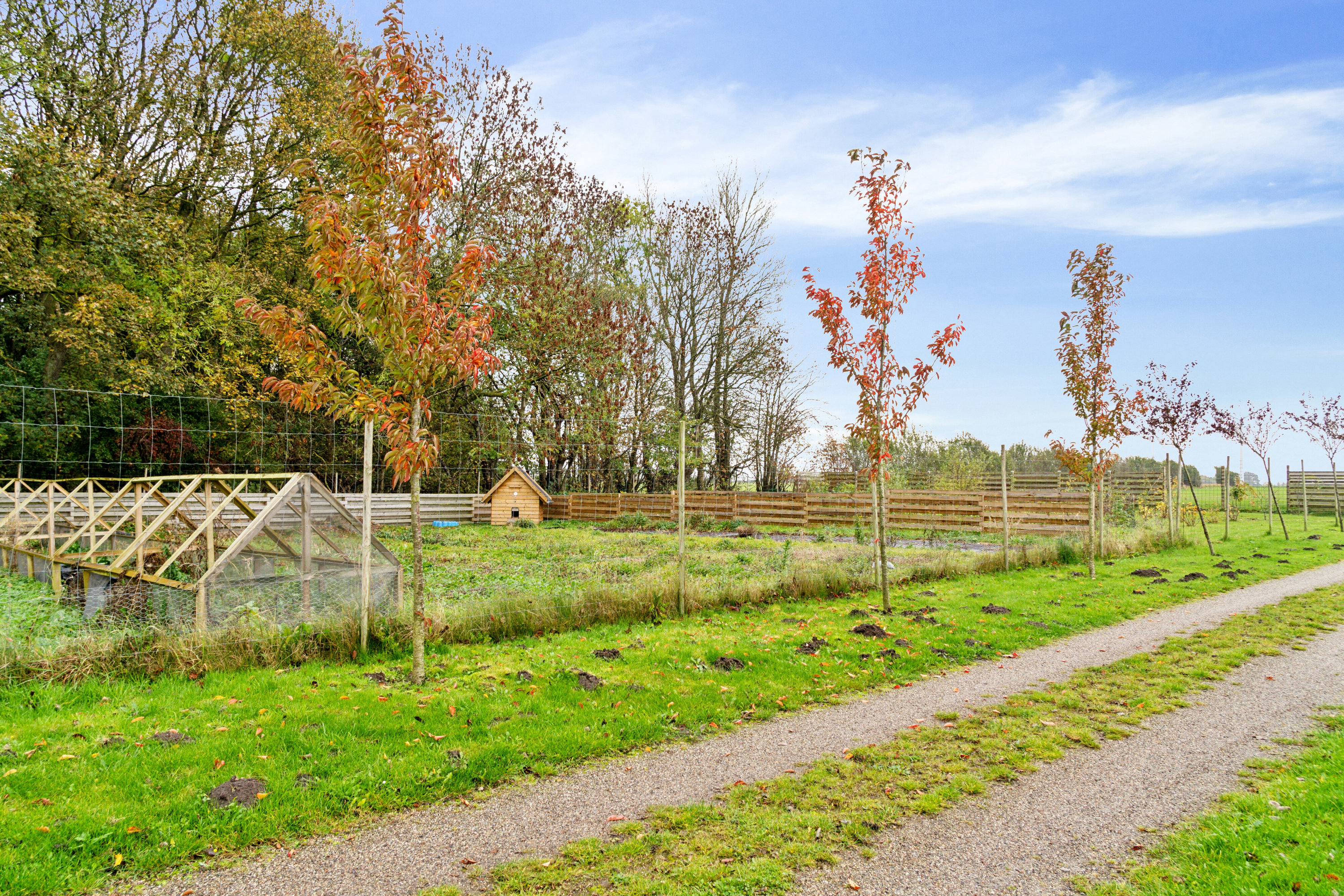 Fremhævet udendørs billede i fuldskærmstilstand. Billede af Gl Kappendrupvej 49, 5450 Otterup