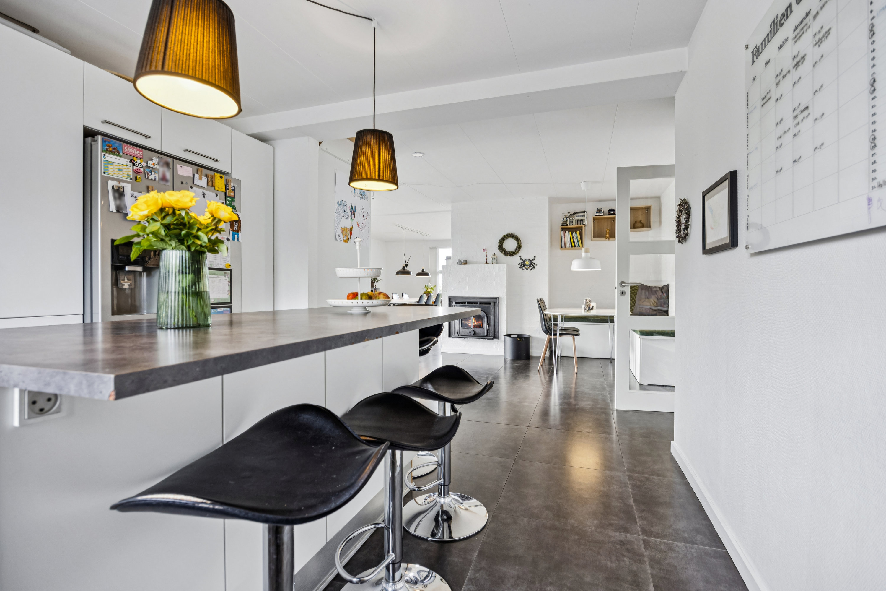 Fremhævet alrum billede i fuldskærmstilstand. Billede af Diget 7, 9460 Brovst