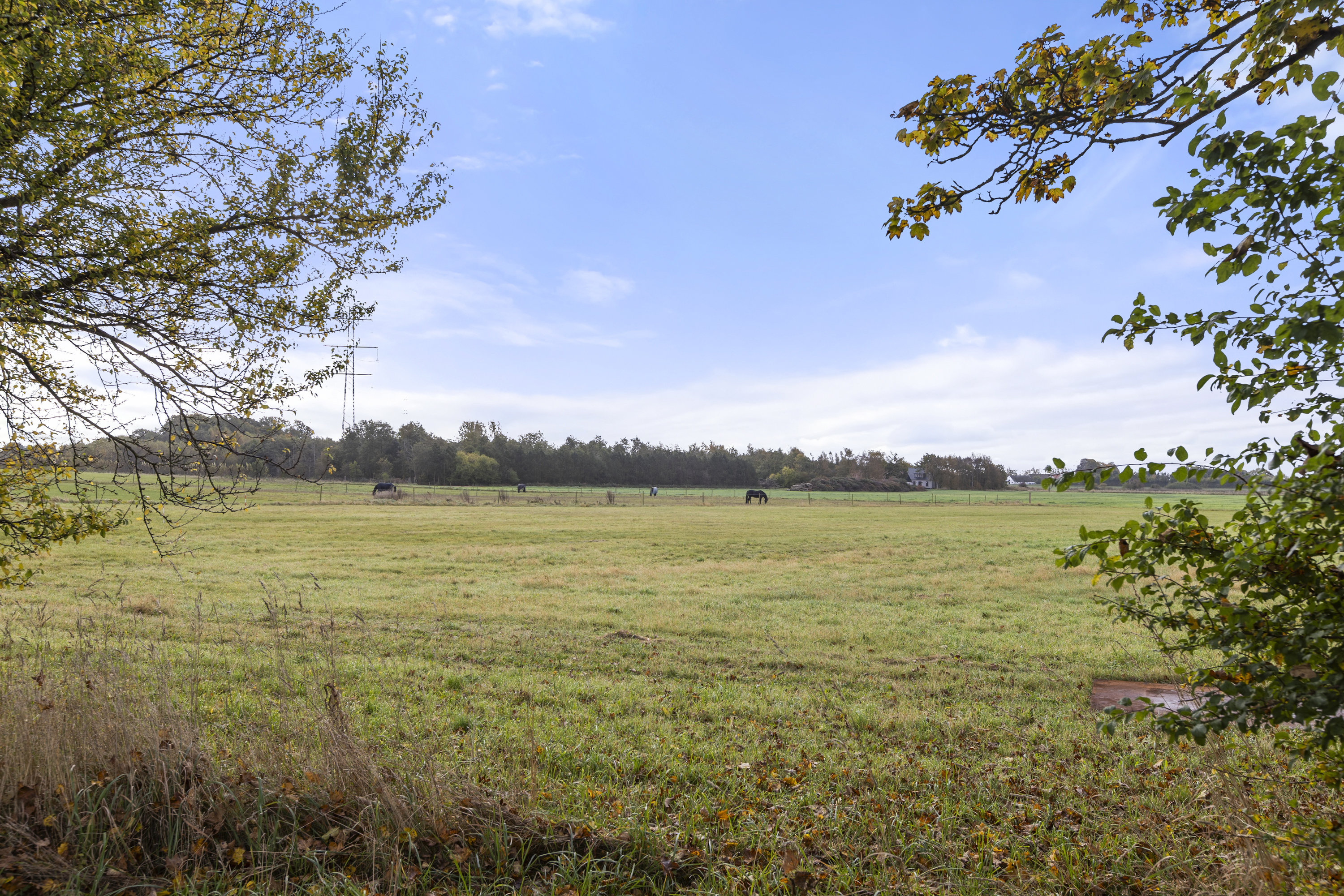 Fremhævet udsigt billede i fuldskærmstilstand. Billede af Juliedalvej 6, Døjringe, 4180 Sorø