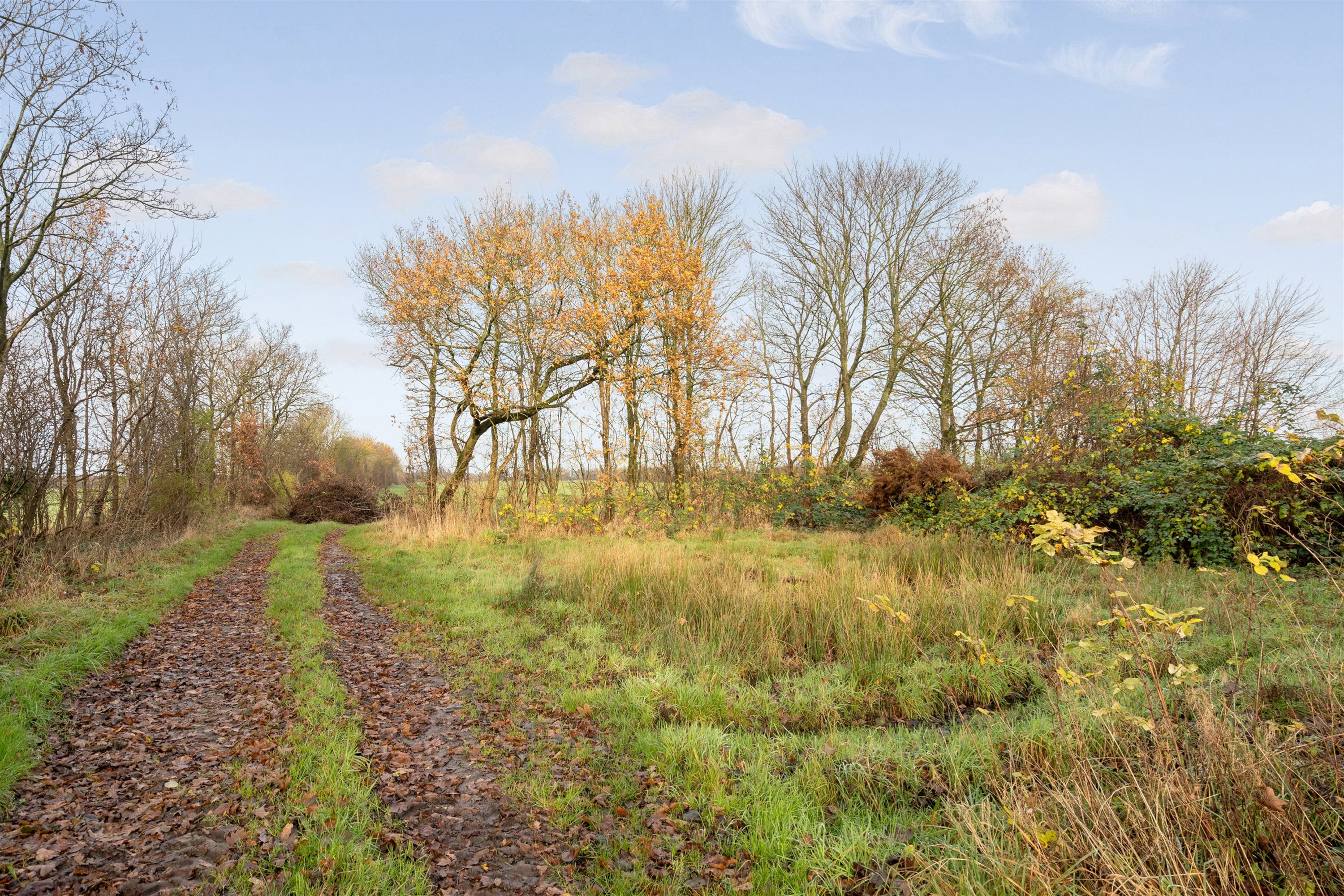 Fremhævet ejendommen billede i fuldskærmstilstand. Billede af Vejlevej 53, Hodde, 6862 Tistrup