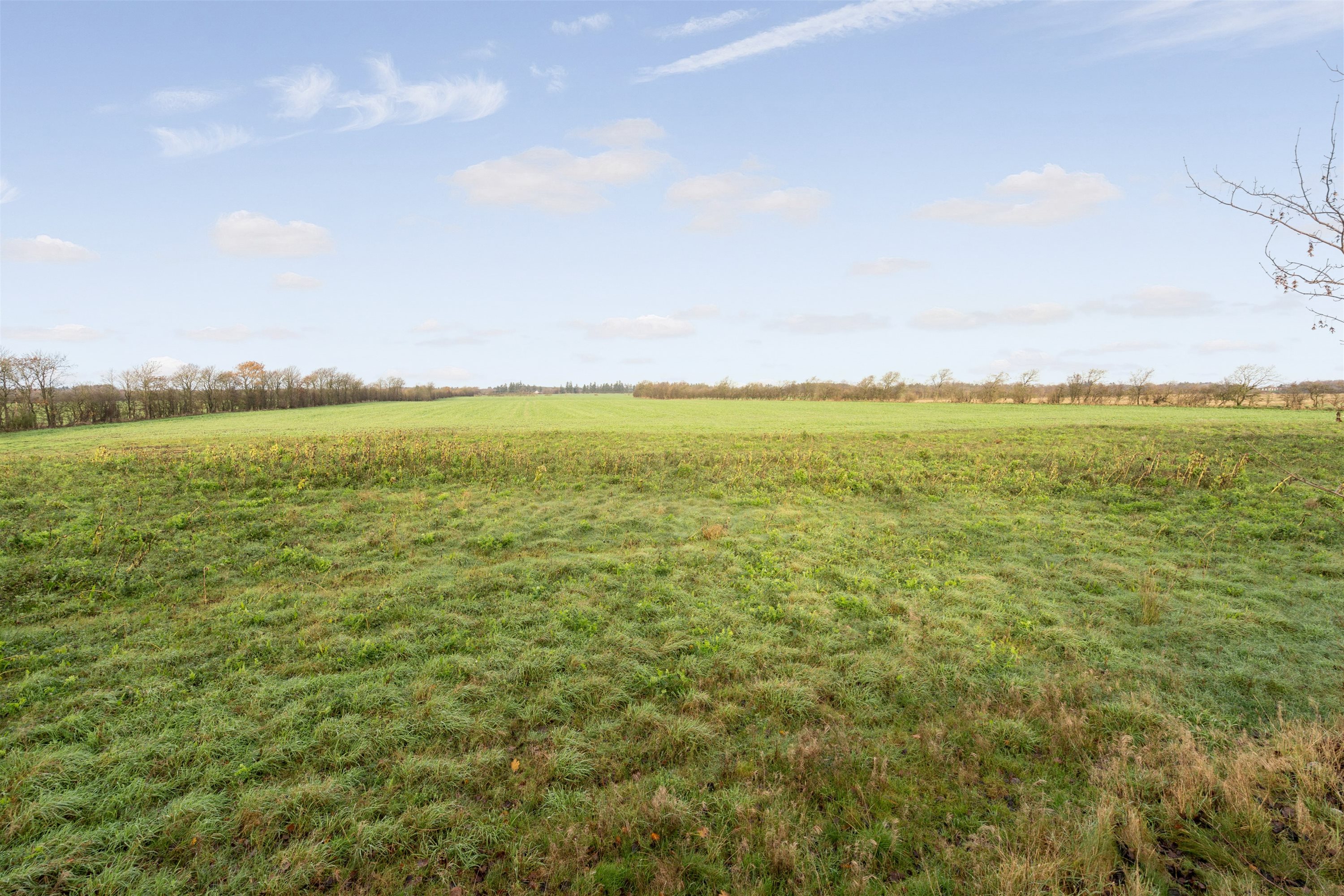 Fremhævet ejendommen billede i fuldskærmstilstand. Billede af Vejlevej 53, Hodde, 6862 Tistrup