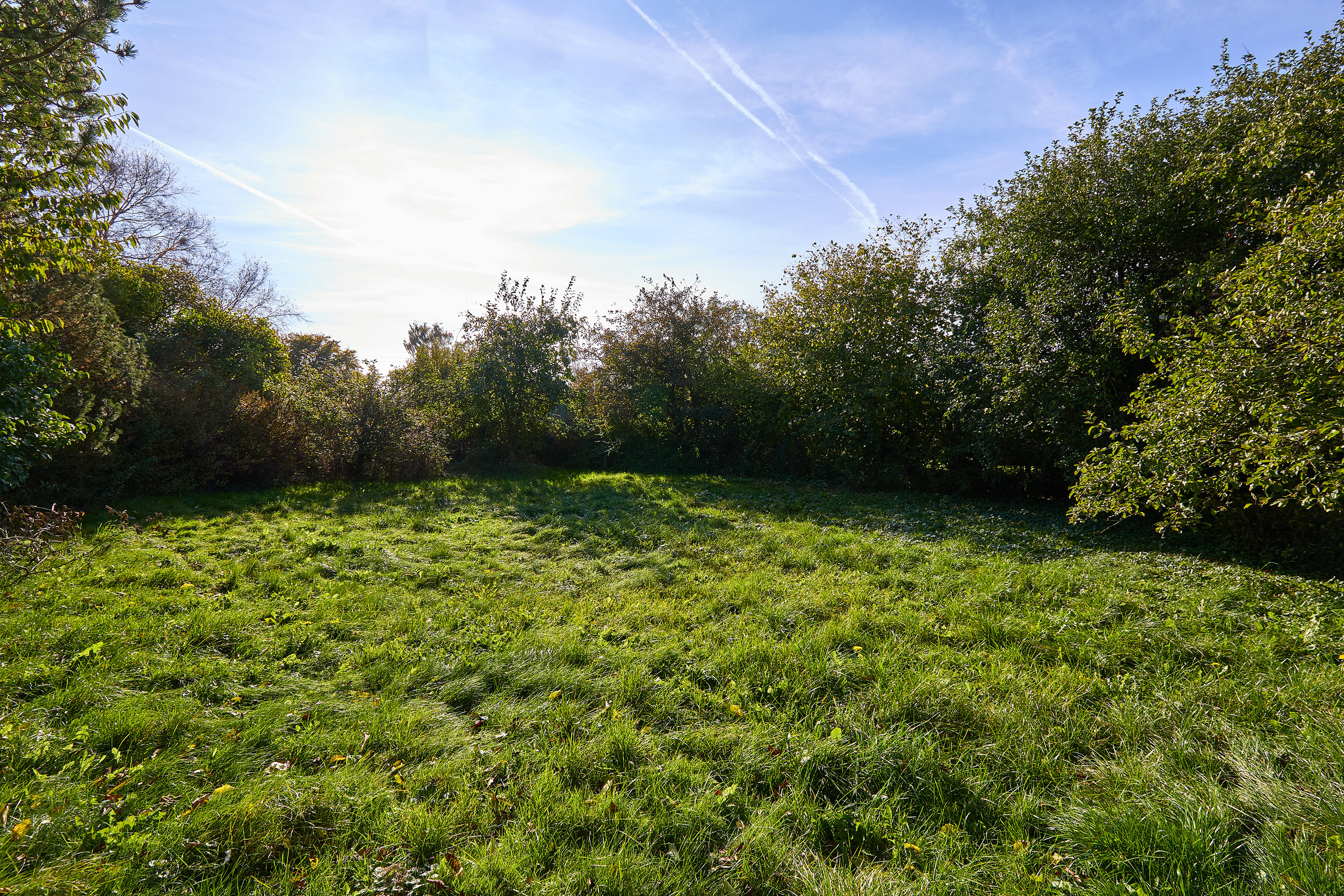Fremhævet grund billede i fuldskærmstilstand. Billede af Rishave Park 8, Esrum, 3230 Græsted