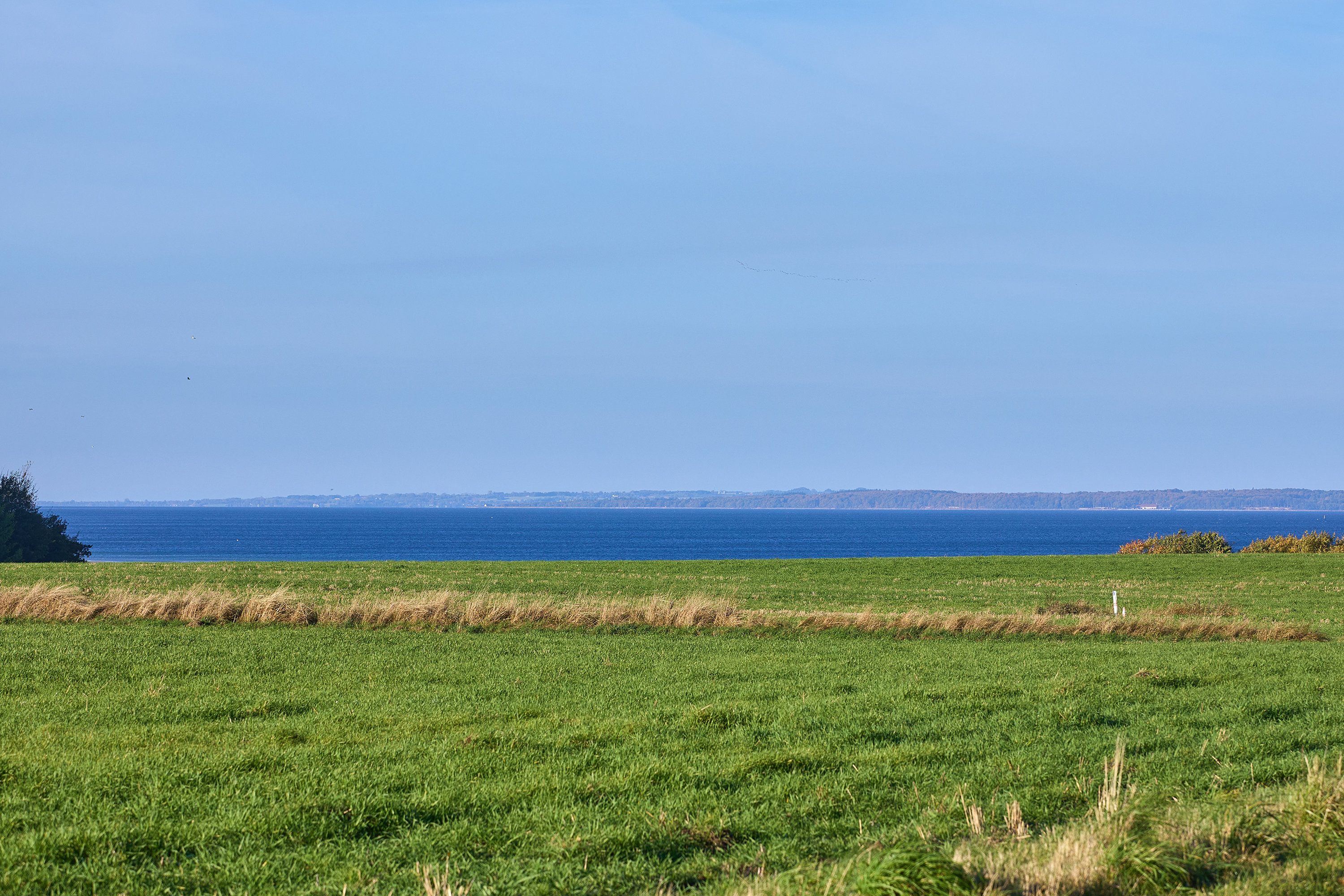Fremhævet område billede i fuldskærmstilstand. Billede af Orebjergvej 12C, Landerslev, 3630 Jægerspris