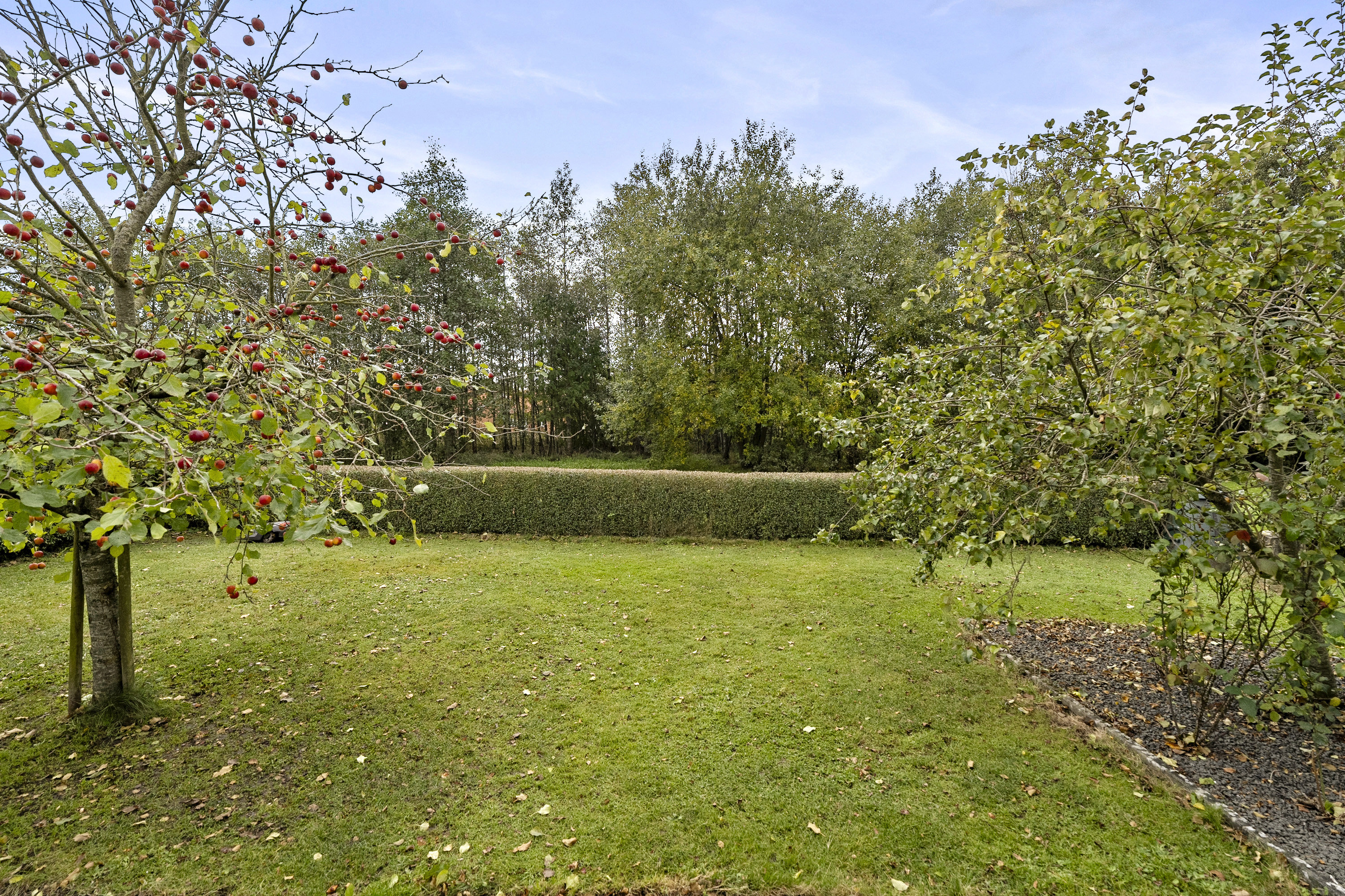 Fremhævet område billede i fuldskærmstilstand. Billede af Skovalle 6, 8783 Hornsyld