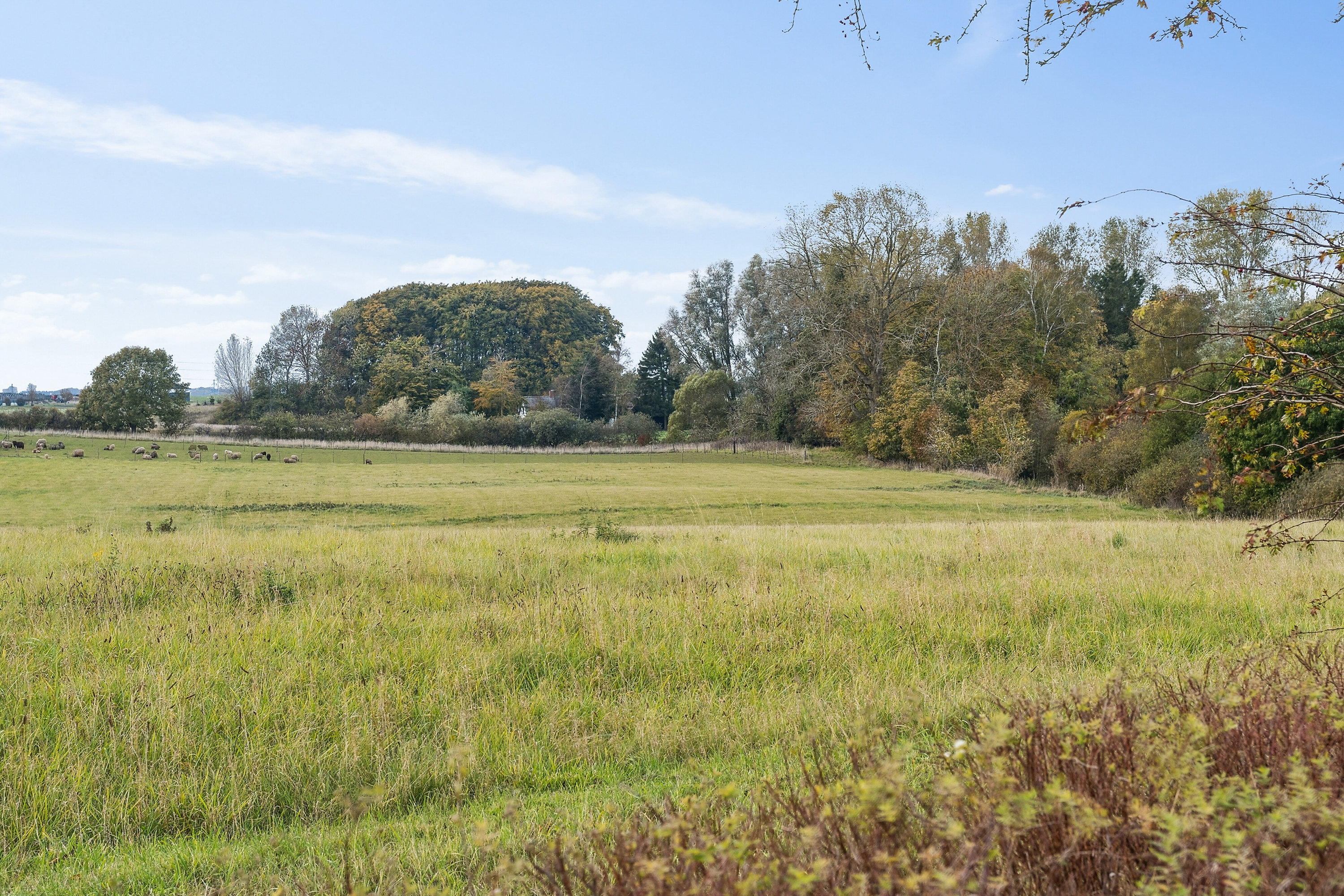 Fremhævet udendørs billede i fuldskærmstilstand. Billede af Flintemosevej 30, Bøgesø, 4700 Næstved