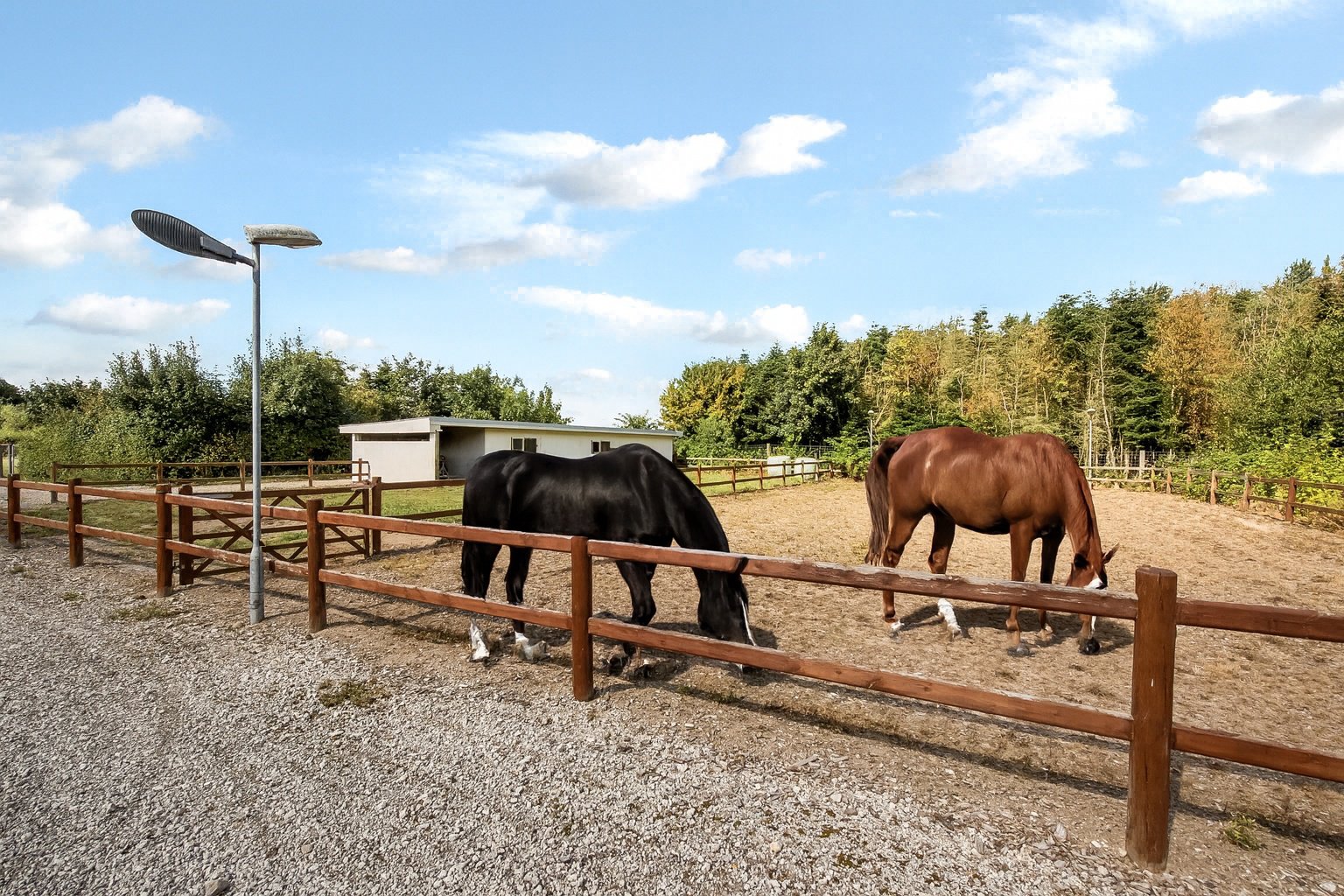 Fremhævet  billede i fuldskærmstilstand. Billede af Klovtoftvej 10, Klovtoft, 6230 Rødekro